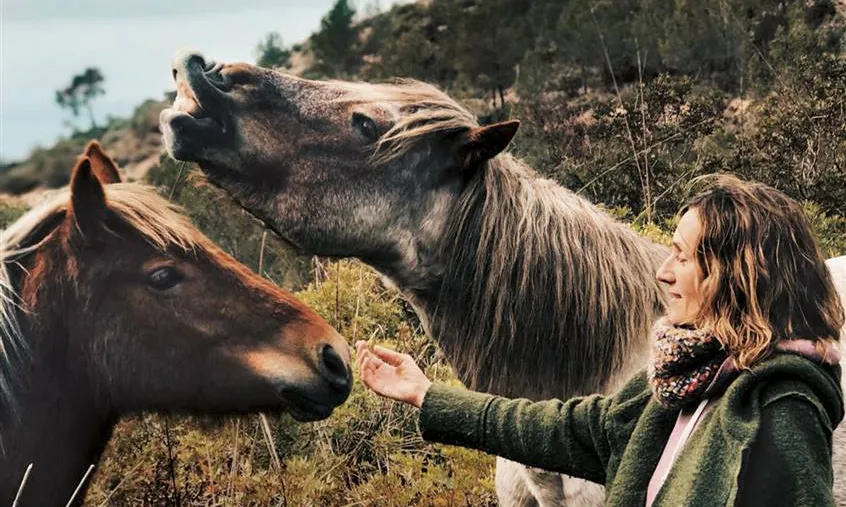 La Rosa Galindo acompanya als cavalls en el procés de tornar a ser éssers lliures.