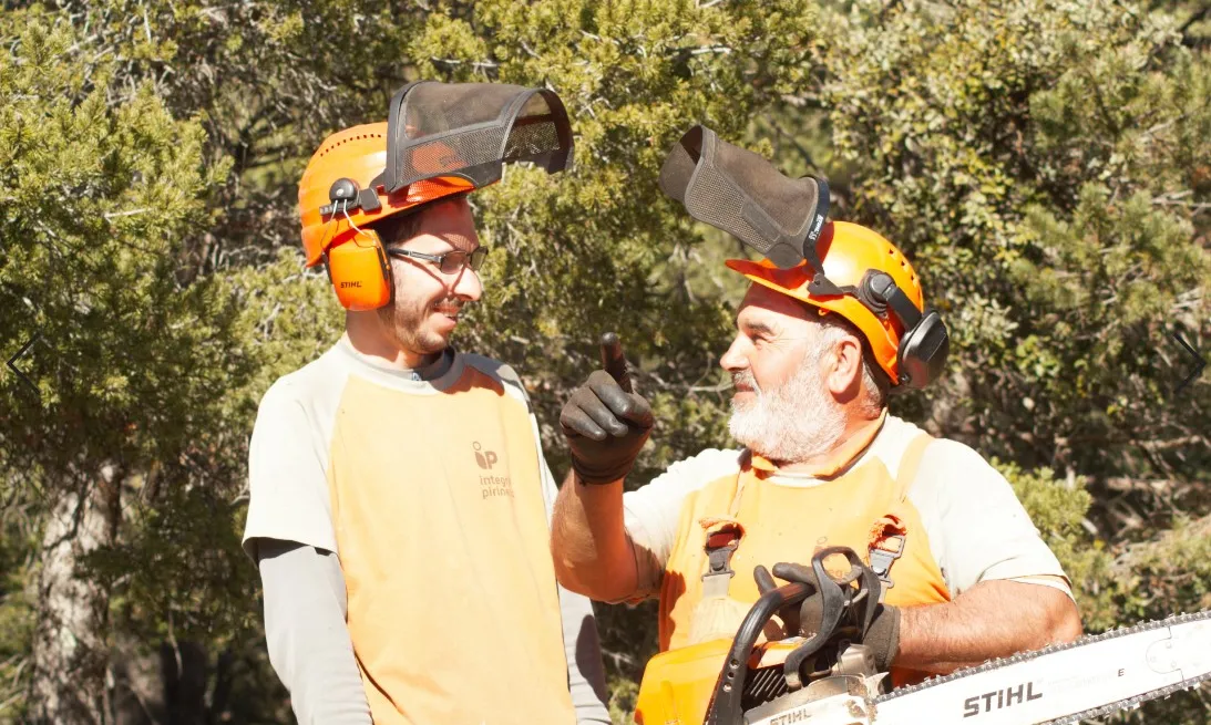 La tasca principal que desenvolupen les persones amb discapacitat que treballen a Integra Pirineus és la Gestió Forestal Sostenible dels boscos del Pirineu.