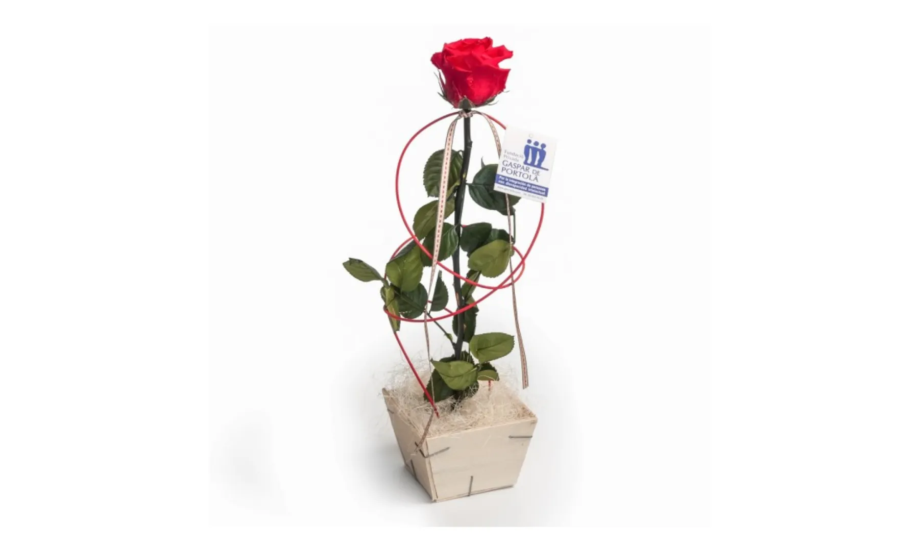 Rosa natural Eterna elaborada per la Fundació Portolà.