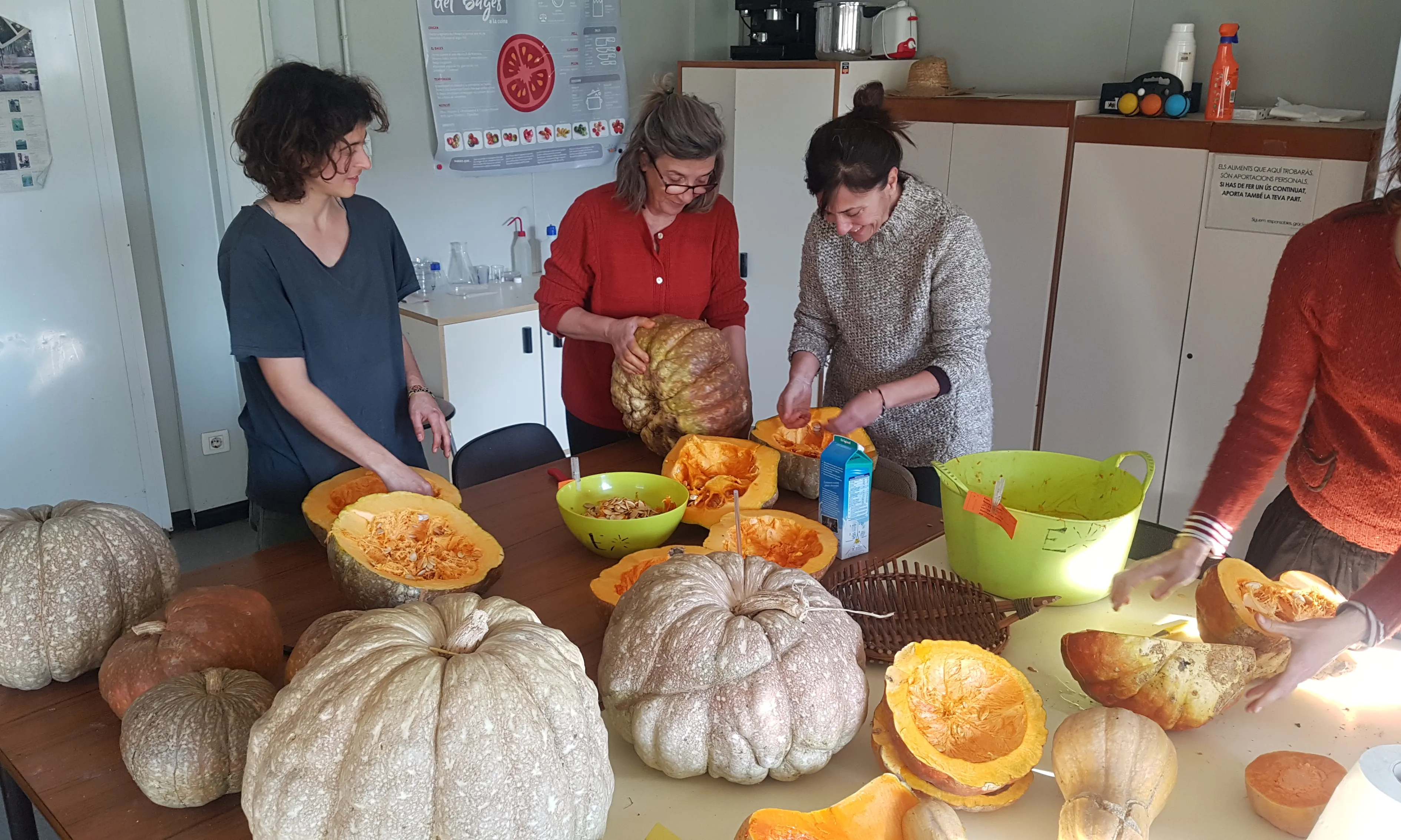 Carbassada al projecte Esporus.