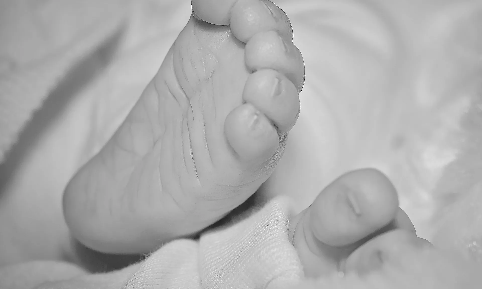 L'entitat denuncia que en moltes ocasions l'Estat ha obstaculitzat les investigacions per esclarir els fets. 