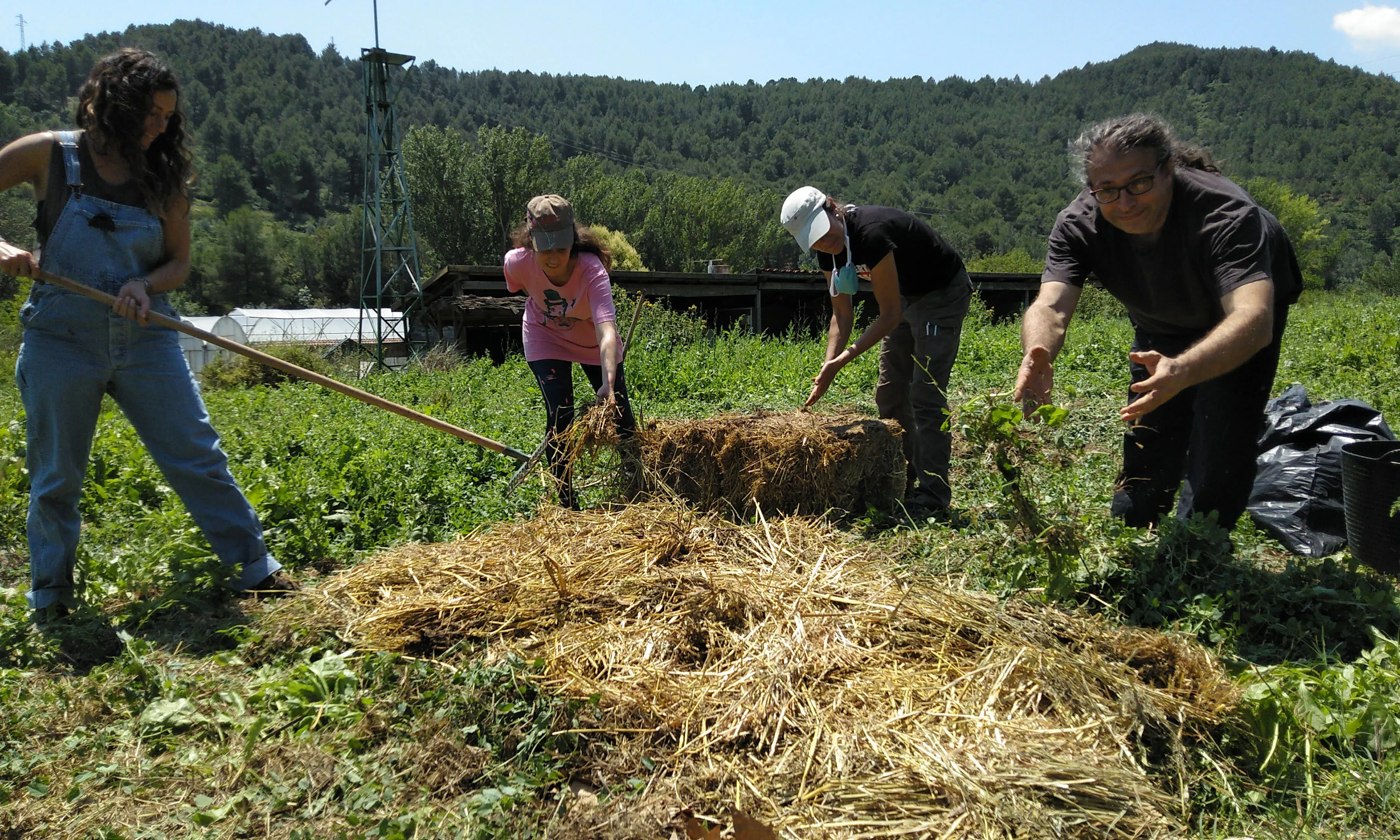 L'entitat proposa anualment un programa de cursos sobre agricultura ecològica, energies renovables, bioconstrucció i autosuficiència en general.