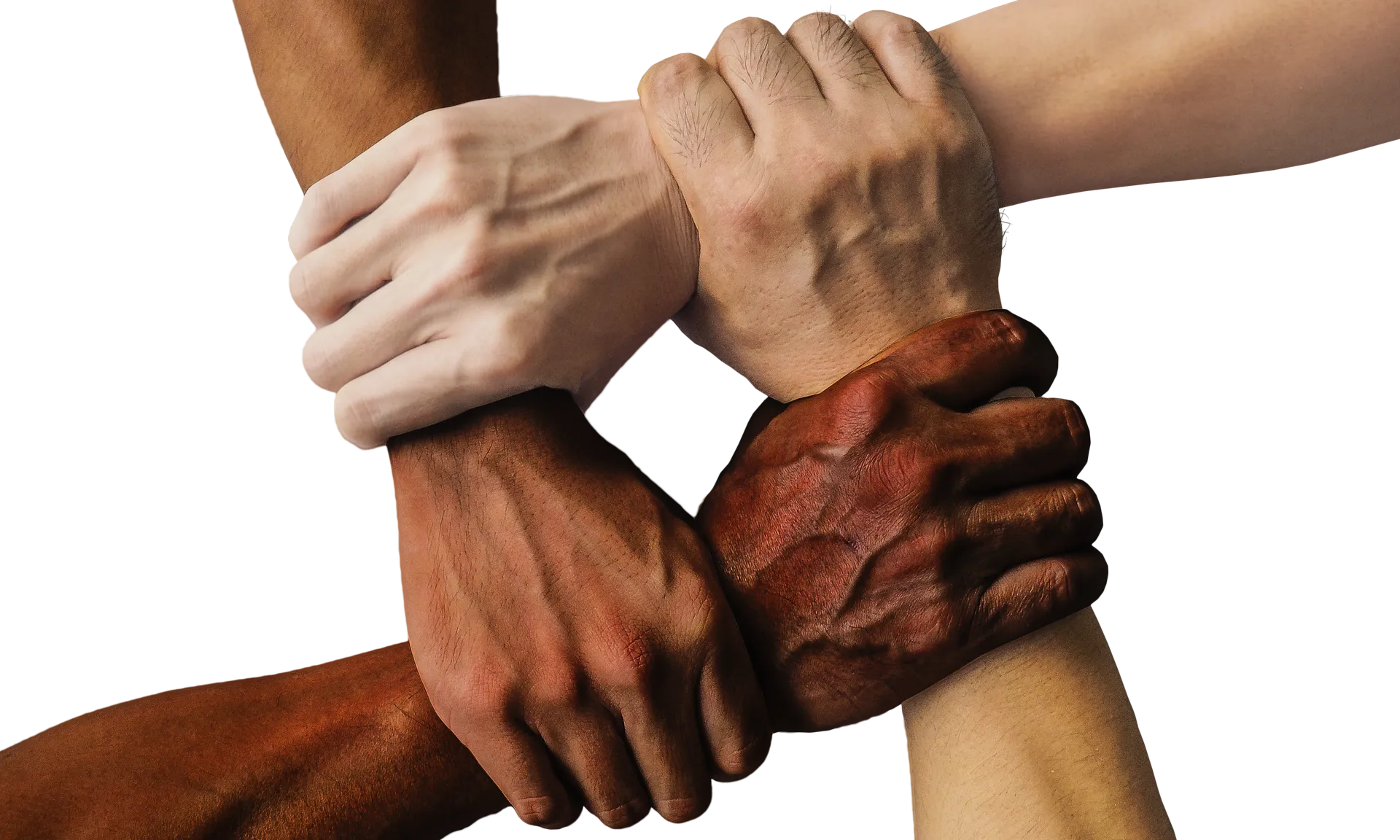 Imatge de truthseeker08 a Pixabay 