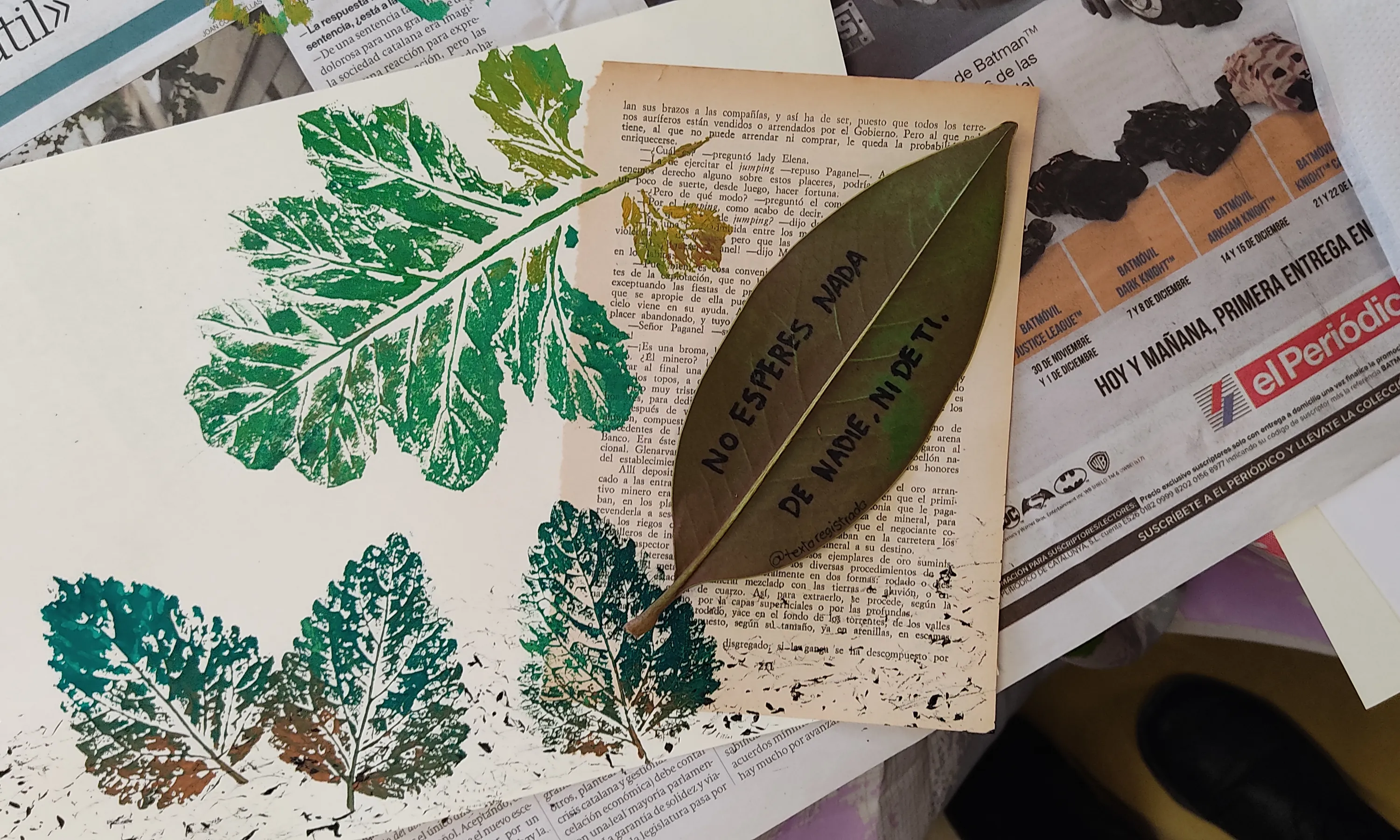 El projecte desperta les emocions i la creativitat artístiques a través de la descoberta de l'entorn natural.