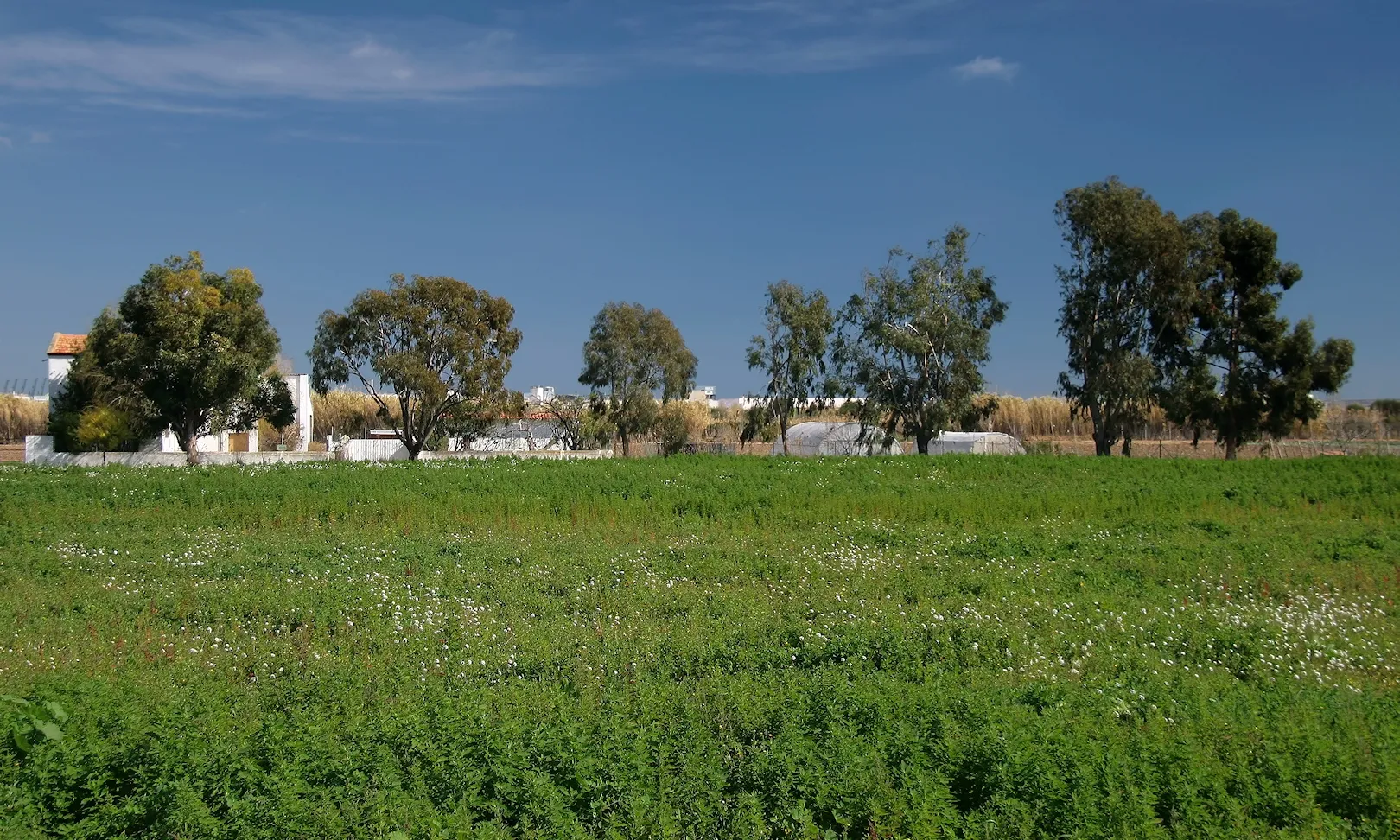 Parc Agrari del Baix Llobregat - Wikimedia Commons