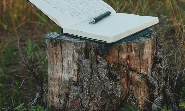 Aquests escrits els llegirà una persona amb projecció mediàtica. Font: Unsplash.