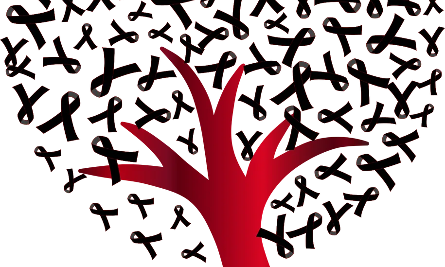 Imatge de Gordon Johnson a Pixabay 