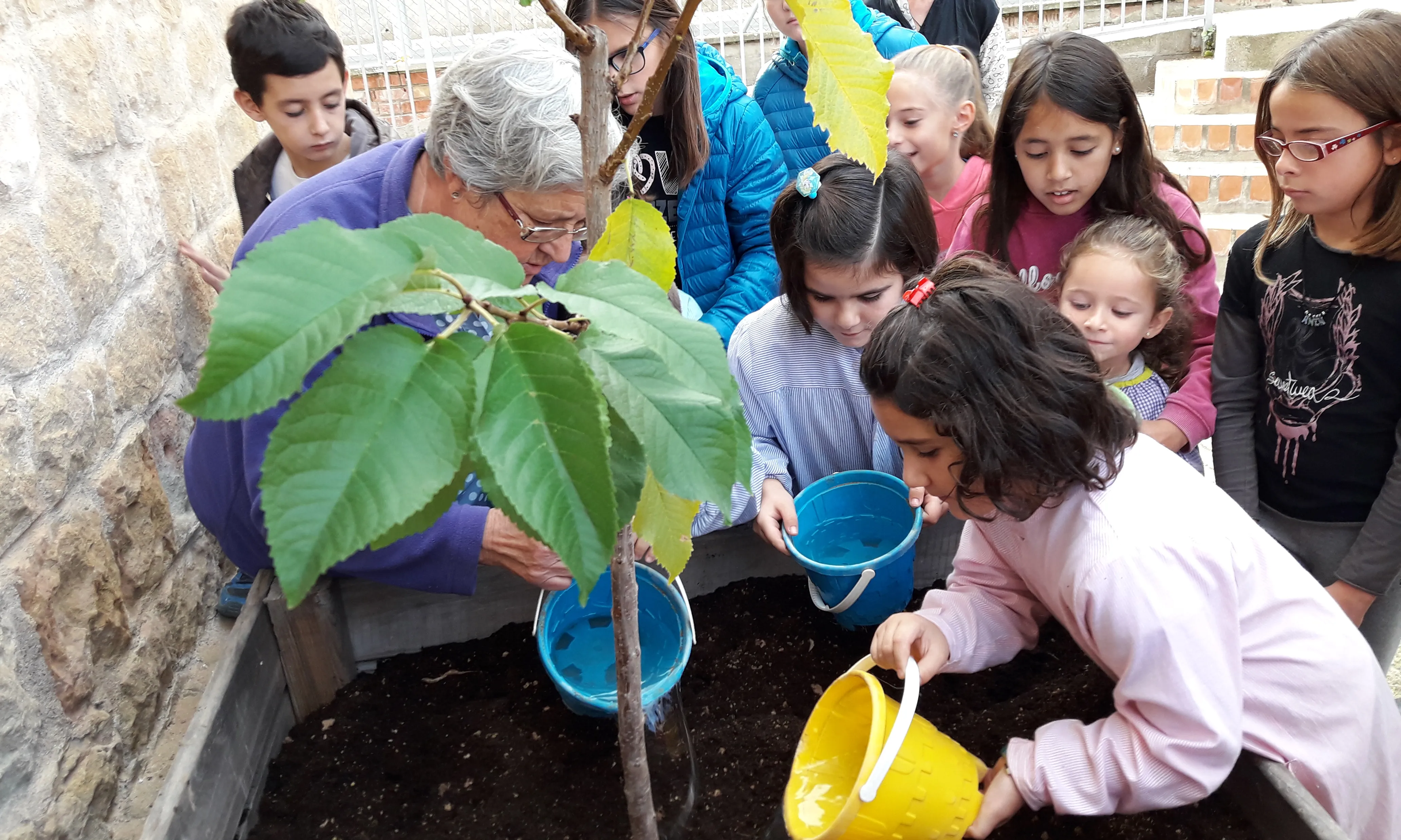 Activitat taller agricultura en una escola de Juncosa (Garrigues)