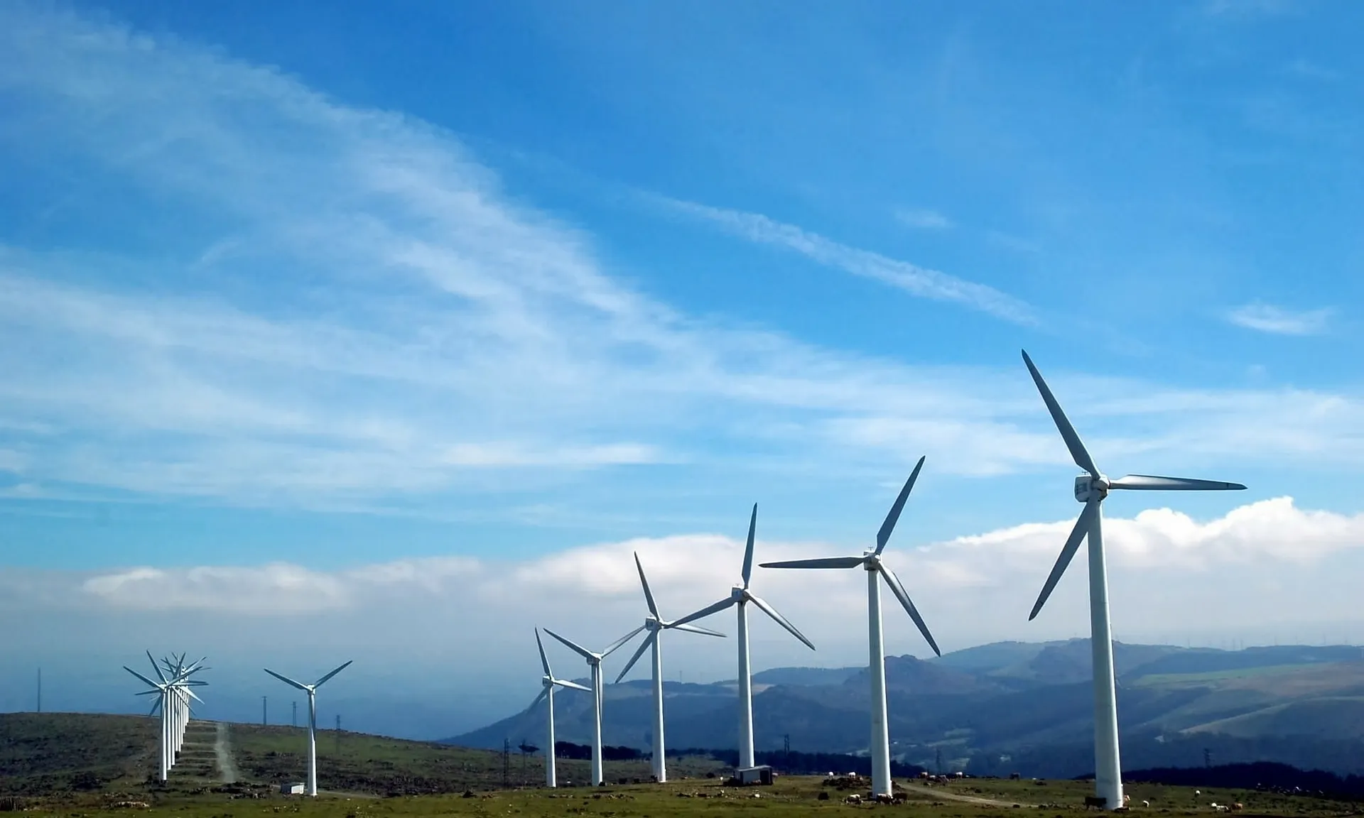 Les entitats denuncien la massificació de projectes de parcs d'energia eòlica.