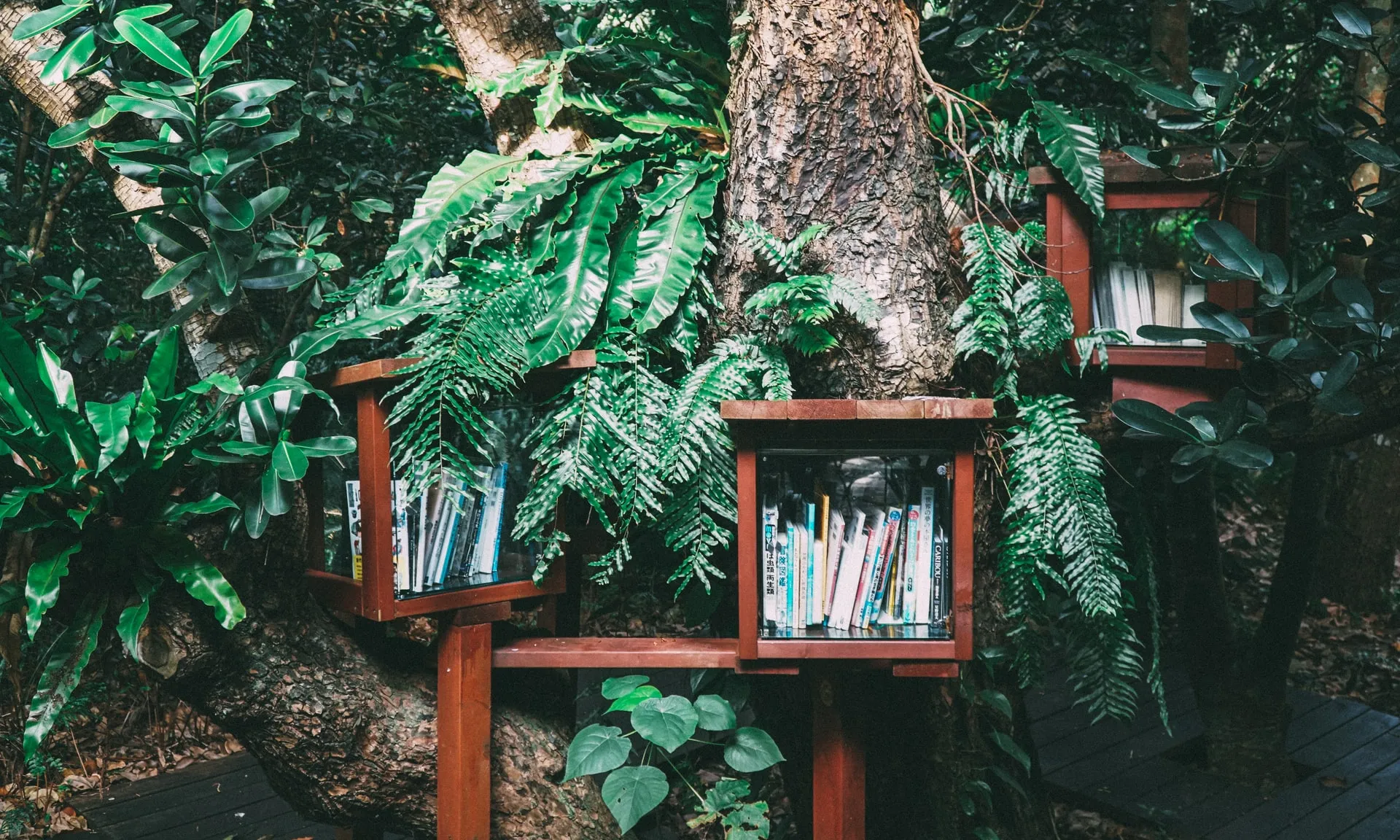 Foto de Hitoshi Suzuki a Unsplash