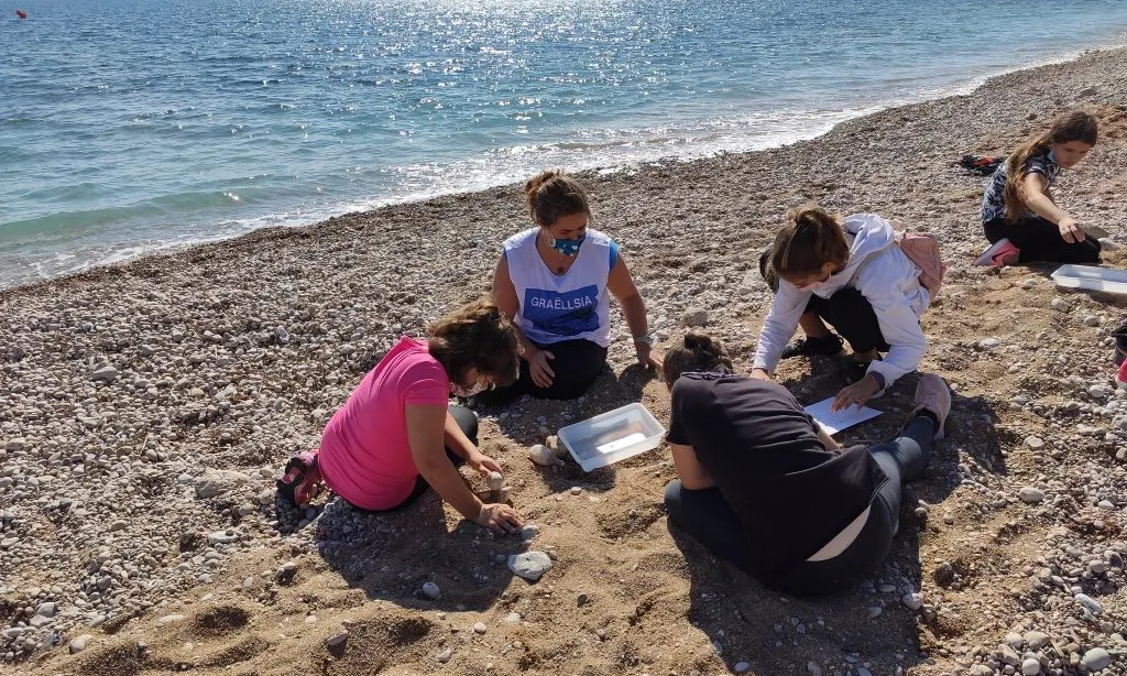 La sisena edició de la Setmana de la Natura compta amb més de tres-centes activitats per a la conservació de la natura arreu del territori.