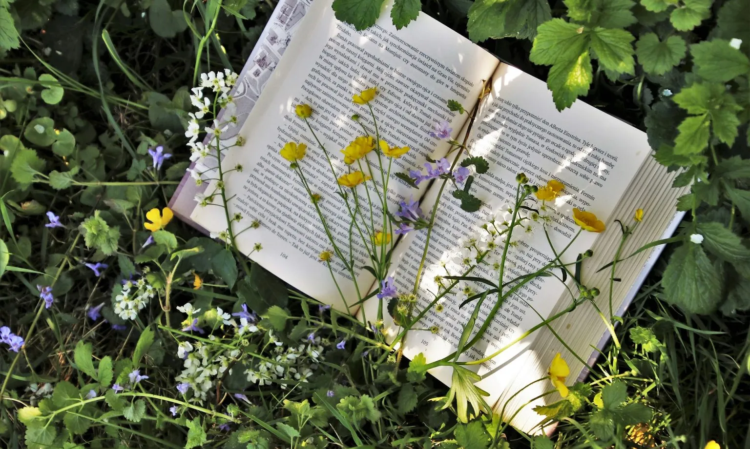 La xarxa de Biblioteques ambientals DocAmbCat col·labora amb la Setmana de la Natura amb diverses activitats.