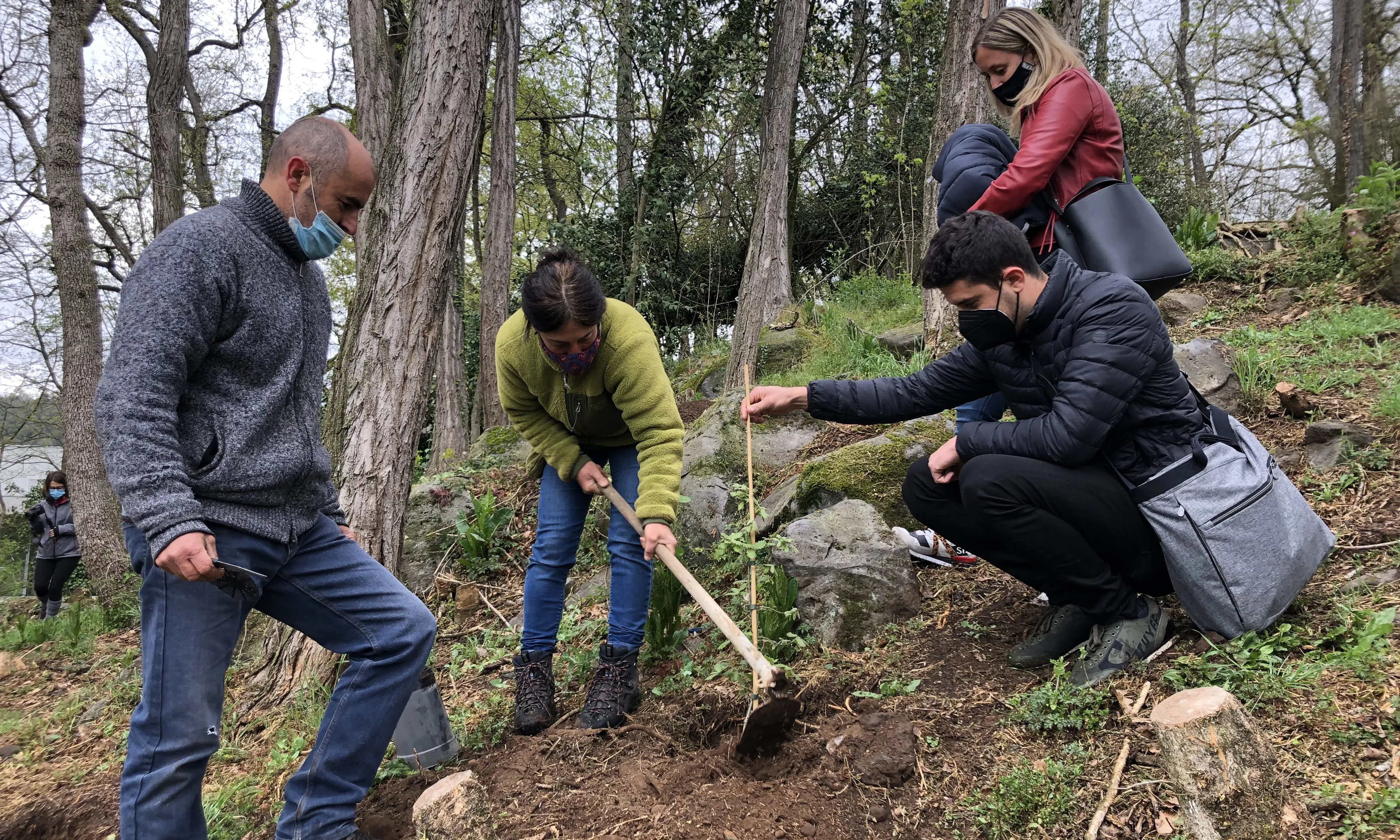 'Simbiosi' vol recuperar el bosc dels Tres roures.