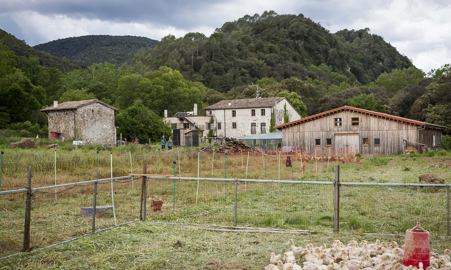 Paisatge de Planeses