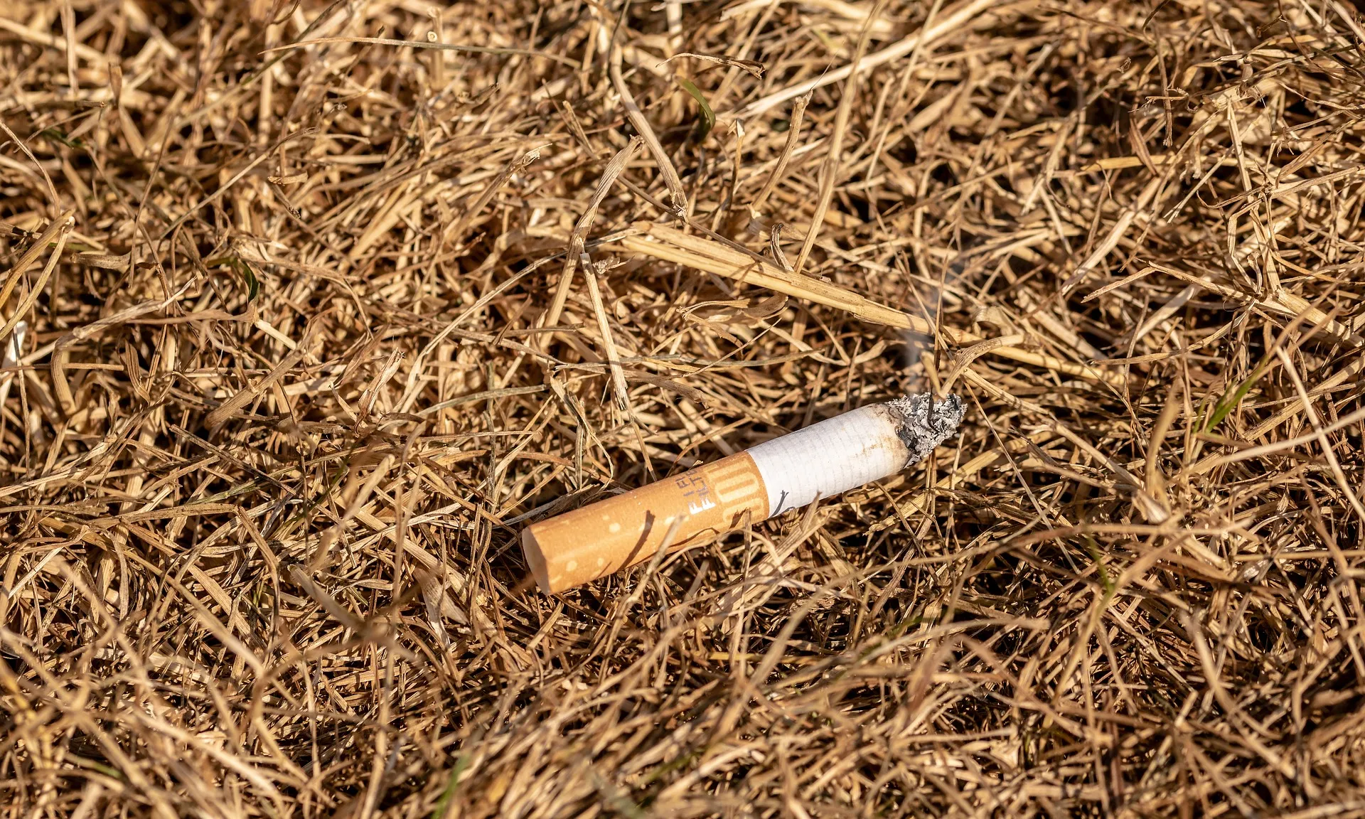Deixar caure burilles de cigarreta és un dels motius més habituals de l'origen dels focs que augmenten d'intensitat per l'abandonament de la gestió del medi foral. 