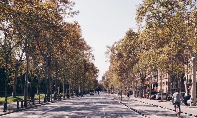 Carrer de Barcelona