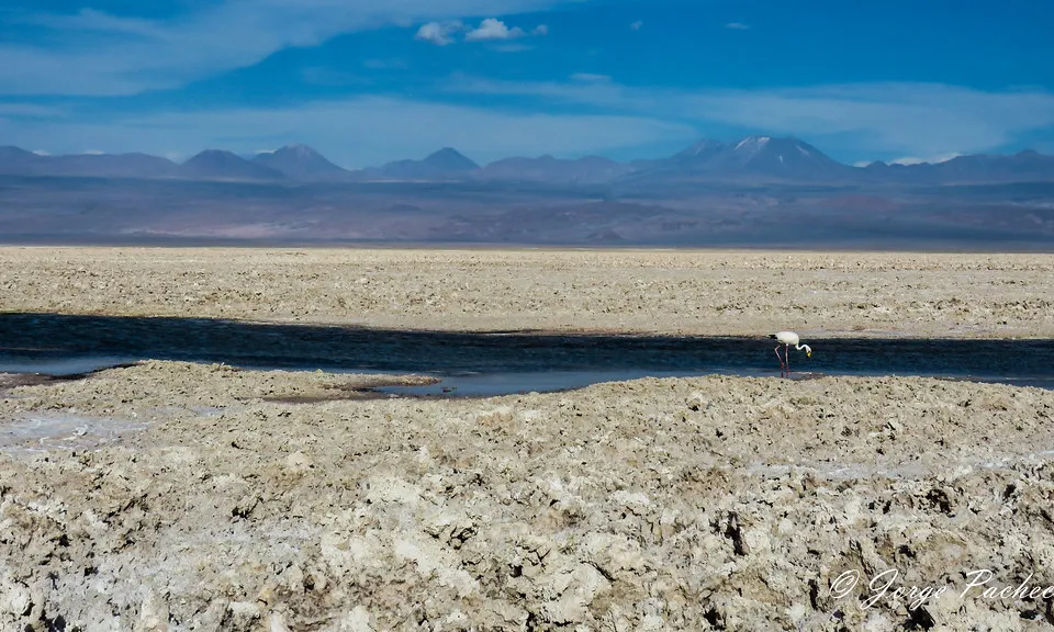 Salar d'Atacama.