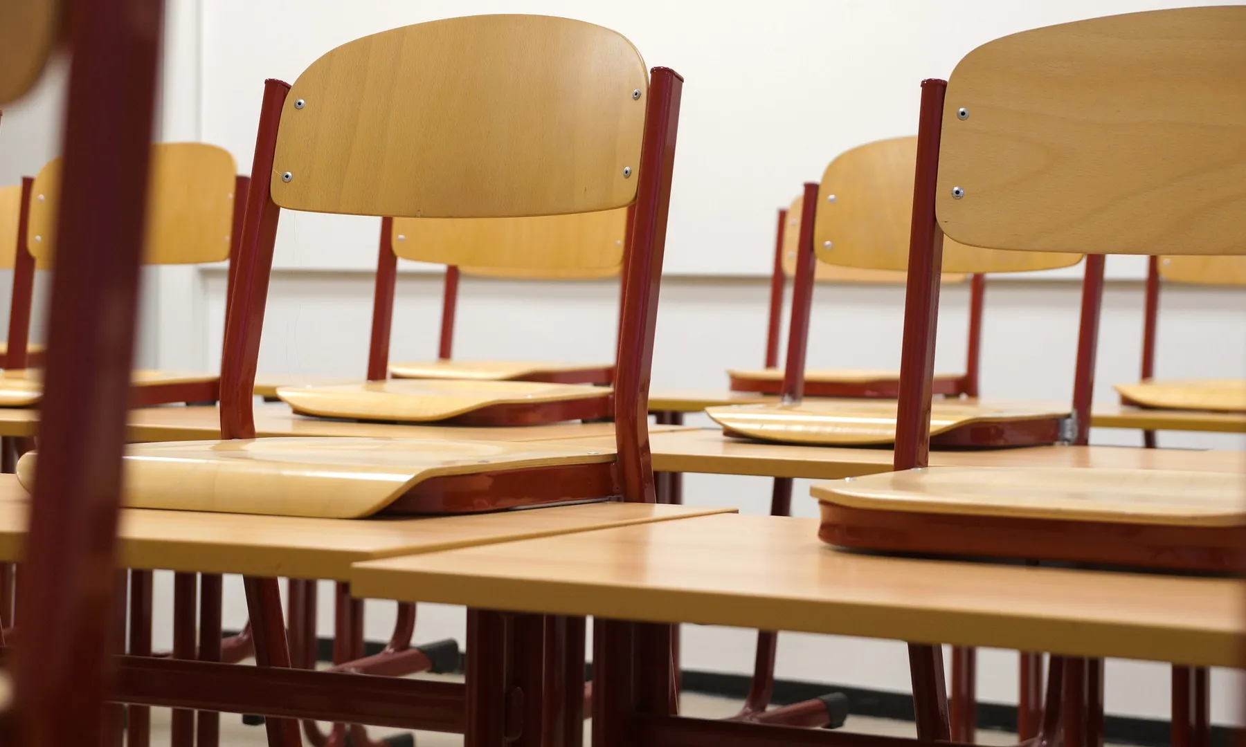 La fundació va oferir un curs de prevenció de salut mental a prop de 200 monitors.