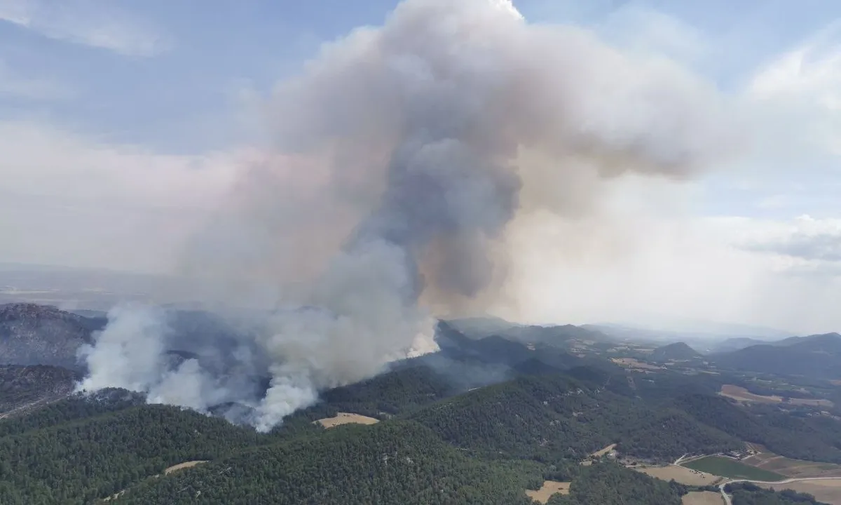 Incendi a Santa Coloma de Queralt aquest juliol.