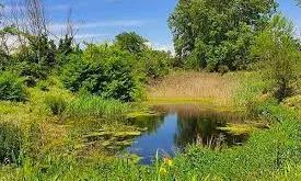 Constituïda per trenta entitats ecologistes, ambientalistes i veïnals, SOS Vallès té l'objectiu de treballar per conservar l'entorn natural del Vallès.
