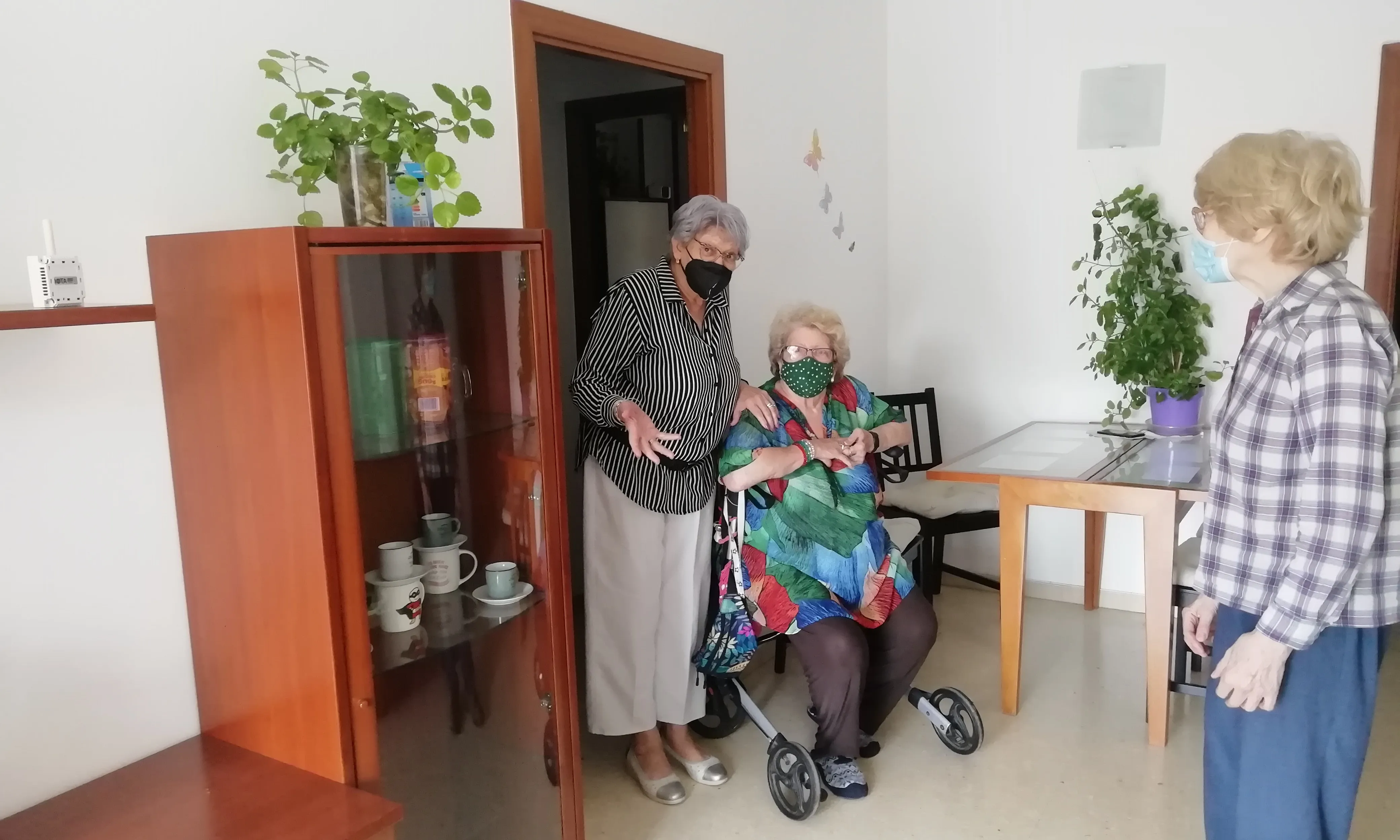 Tots aquests models d'habitatges lluiten precisament contra la soledat no volguda d'una manera o altra.