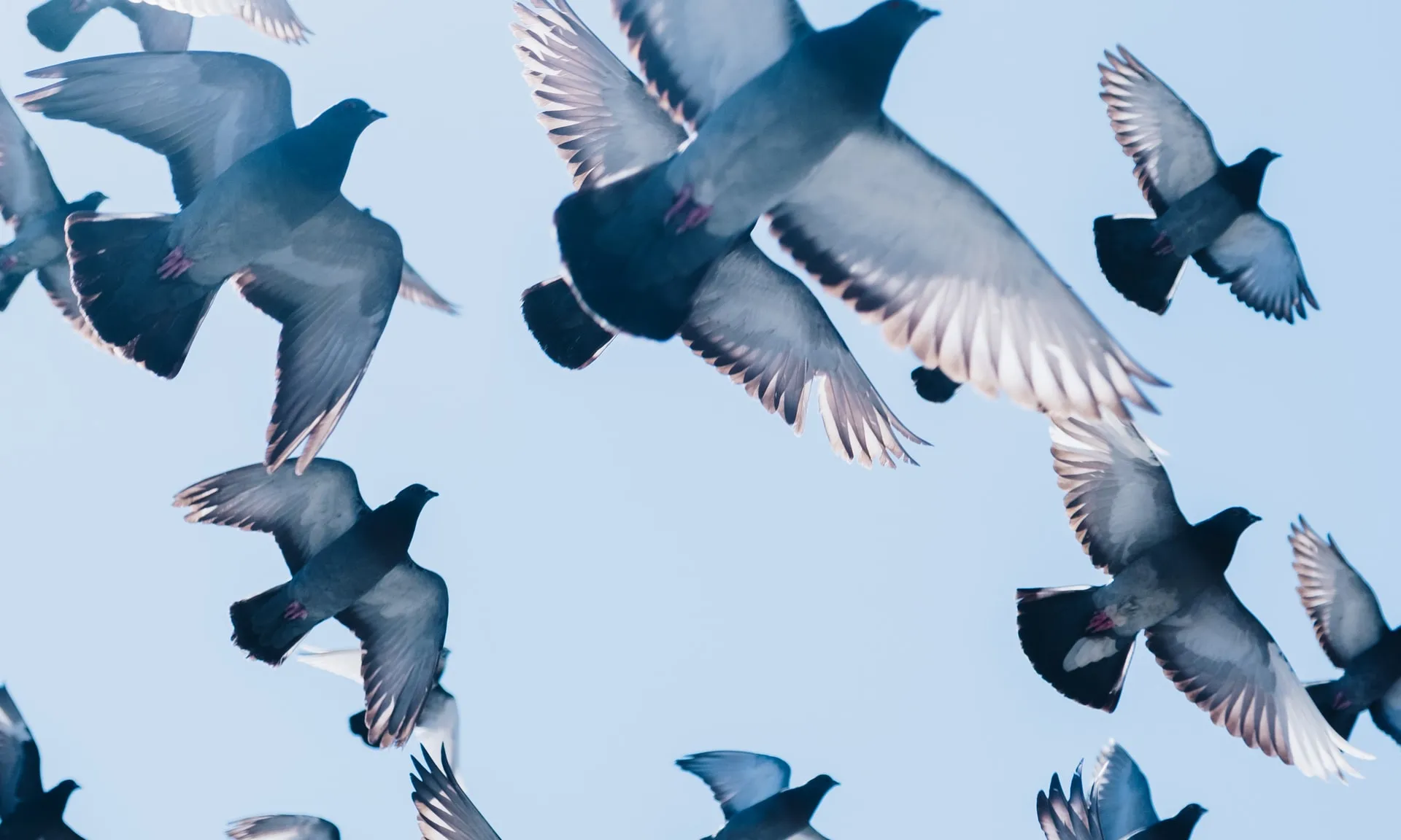 Foto de Zac Ong a Unsplash Foto de Zac Ong a Unsplash