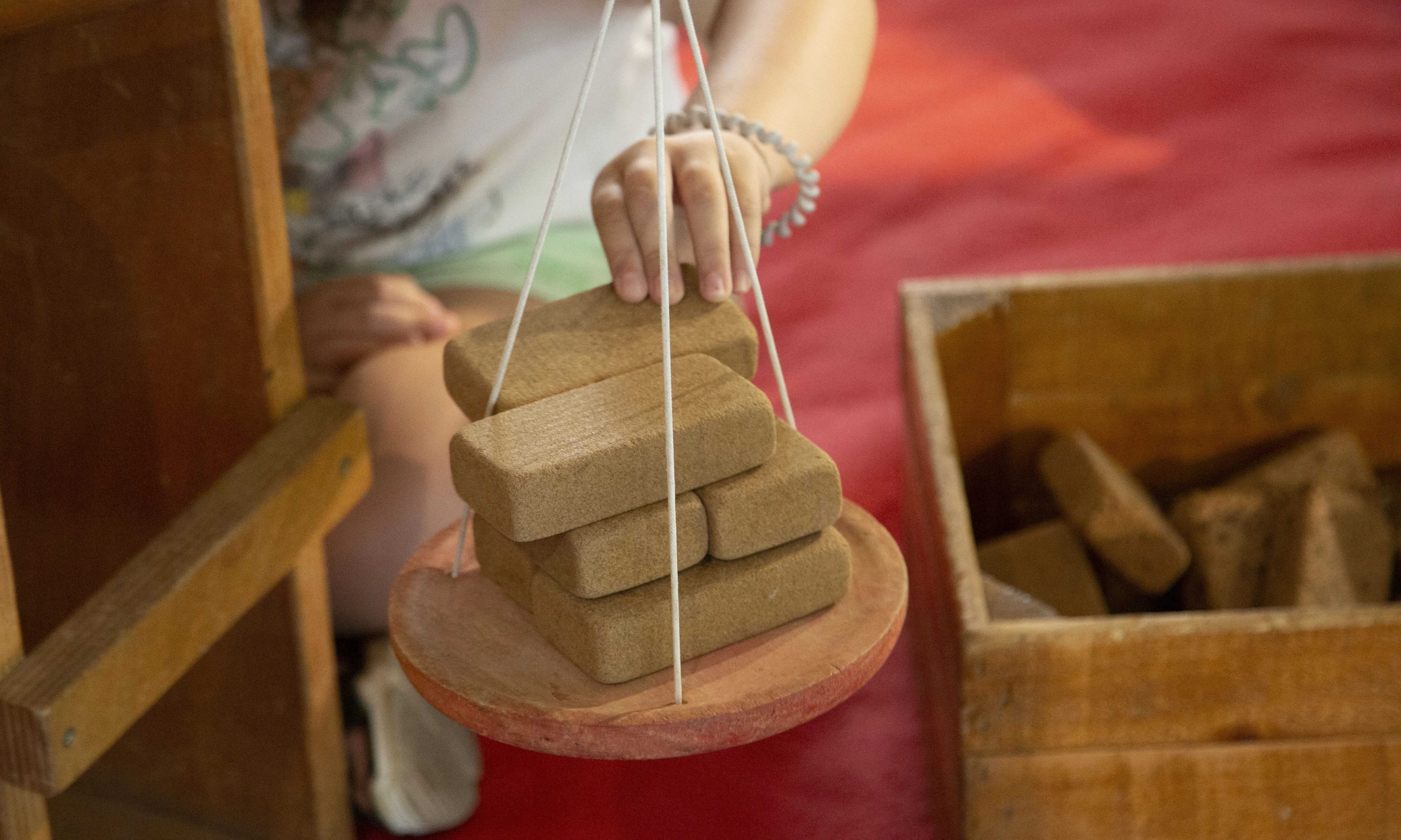 Festival d'Educació per la Sostenibilitat