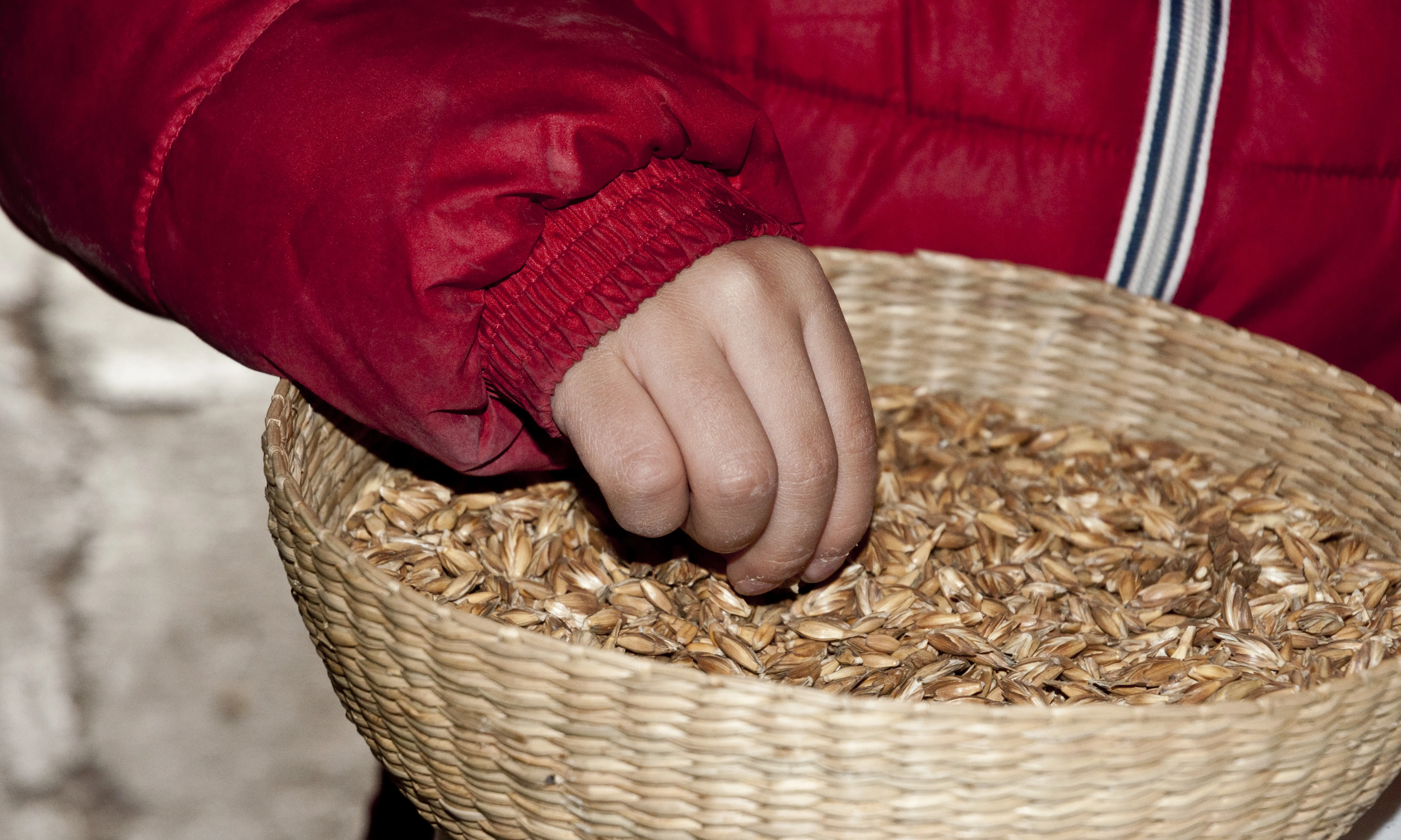 A la fleca de l'Aresta fan servir cereals ecològics de pageses locals.