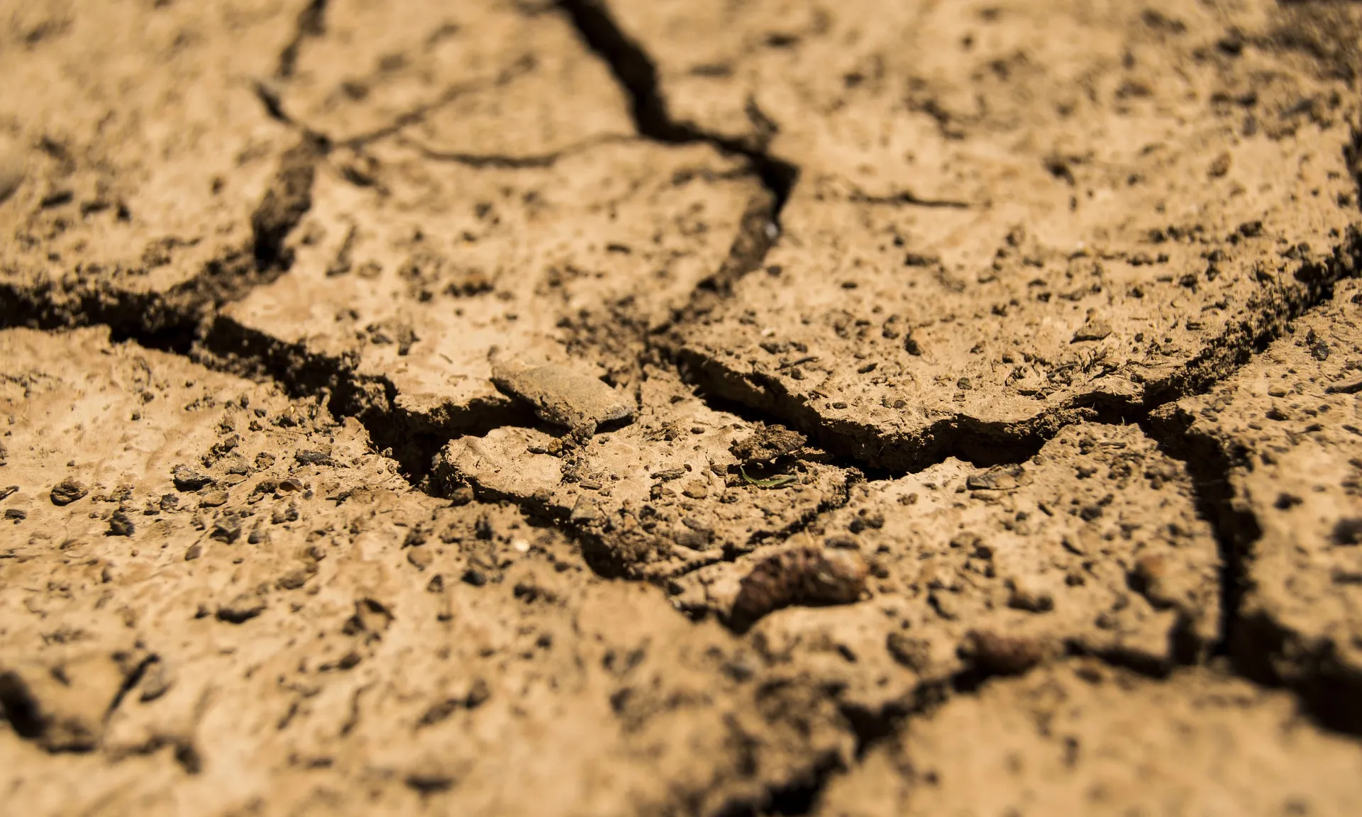 La temporada de sequeres que pateixen els països més pobres s'allarga per la dificultat de cultivar aliments durant les pluges.