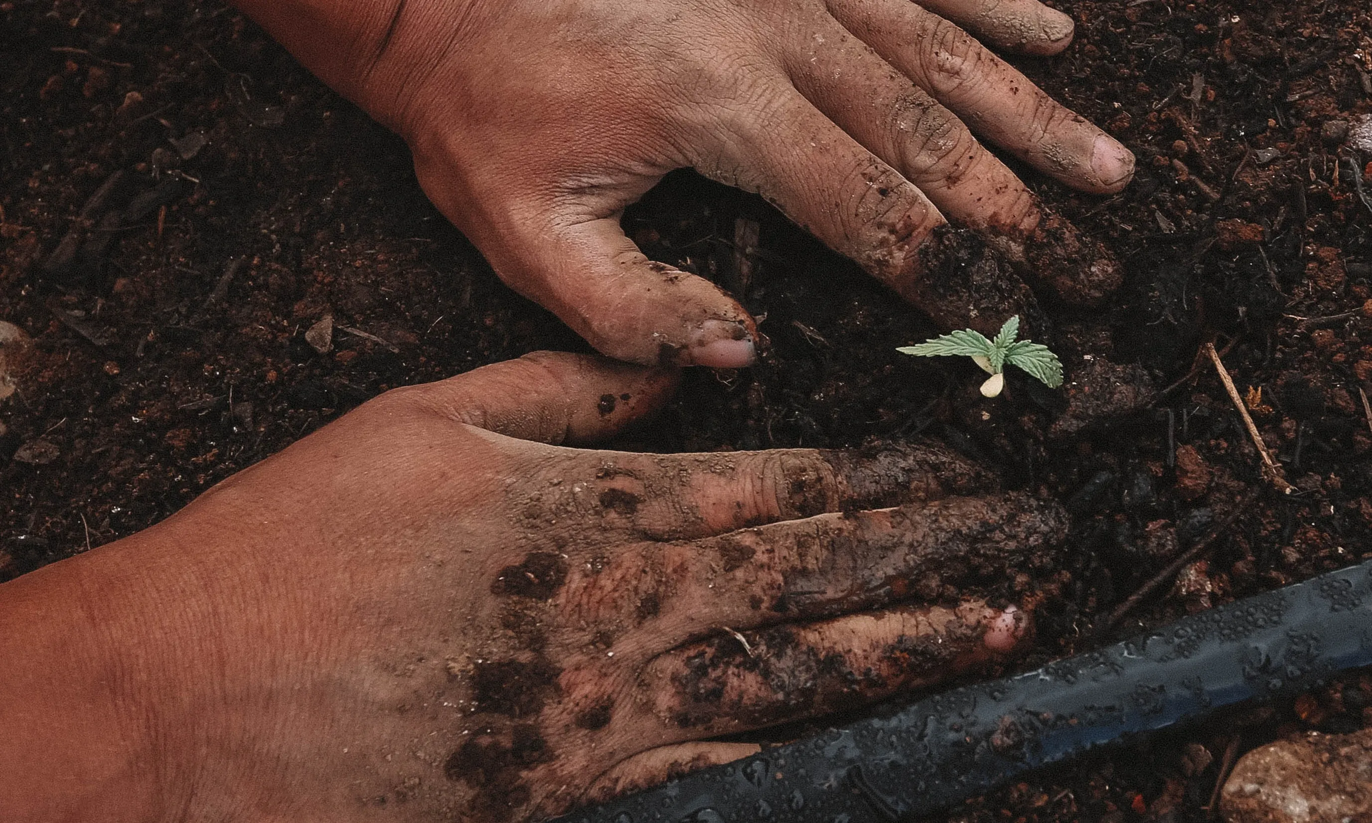 La revista 'Soberanía Alimentaria' i el Museu de la Vida Rural també han col·laborat amb el projecte