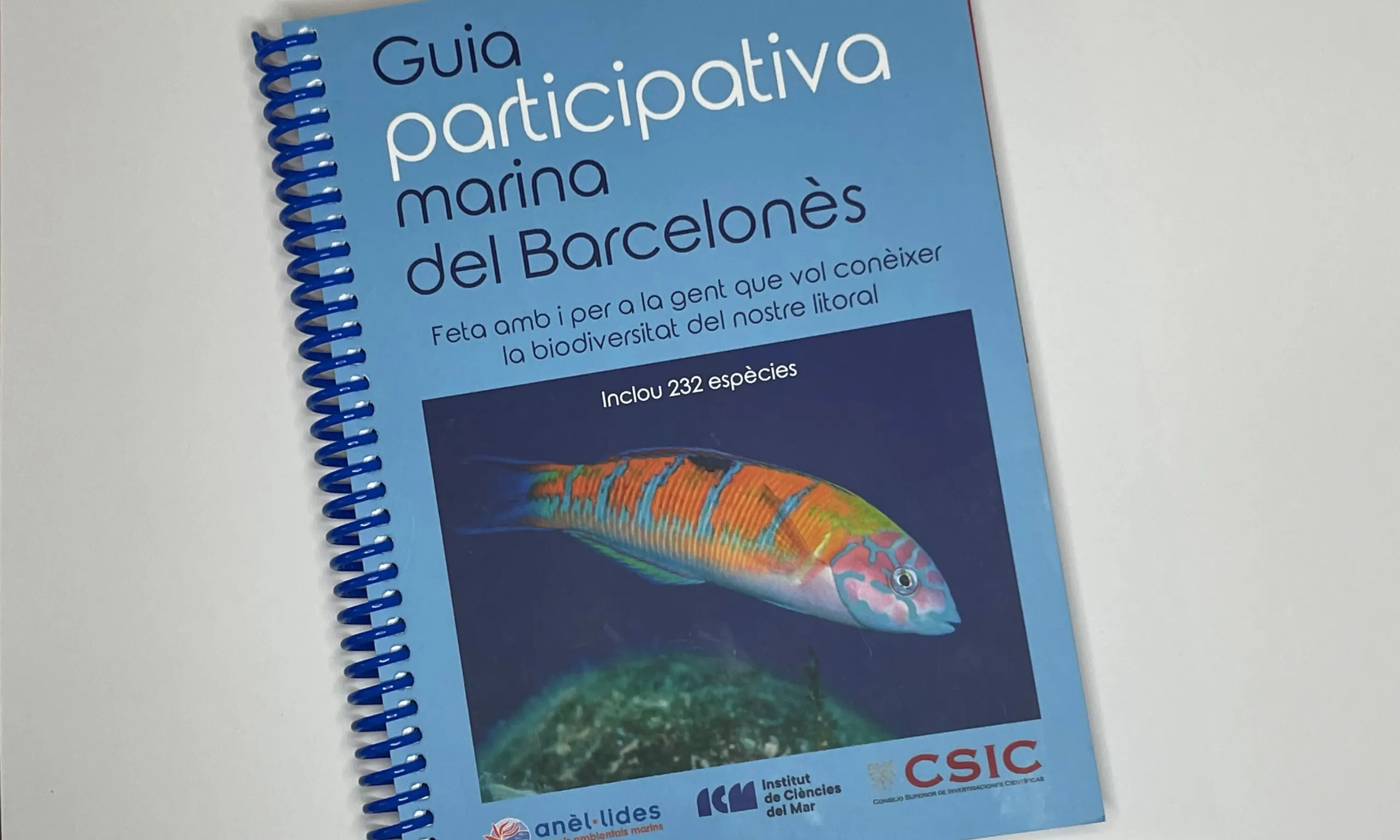 Anèl·lides publica un recull d'imatges i dades sobre la fauna i flora marines de la costa de Barcelona, Sant Adrià del Besòs i Badalona. 
