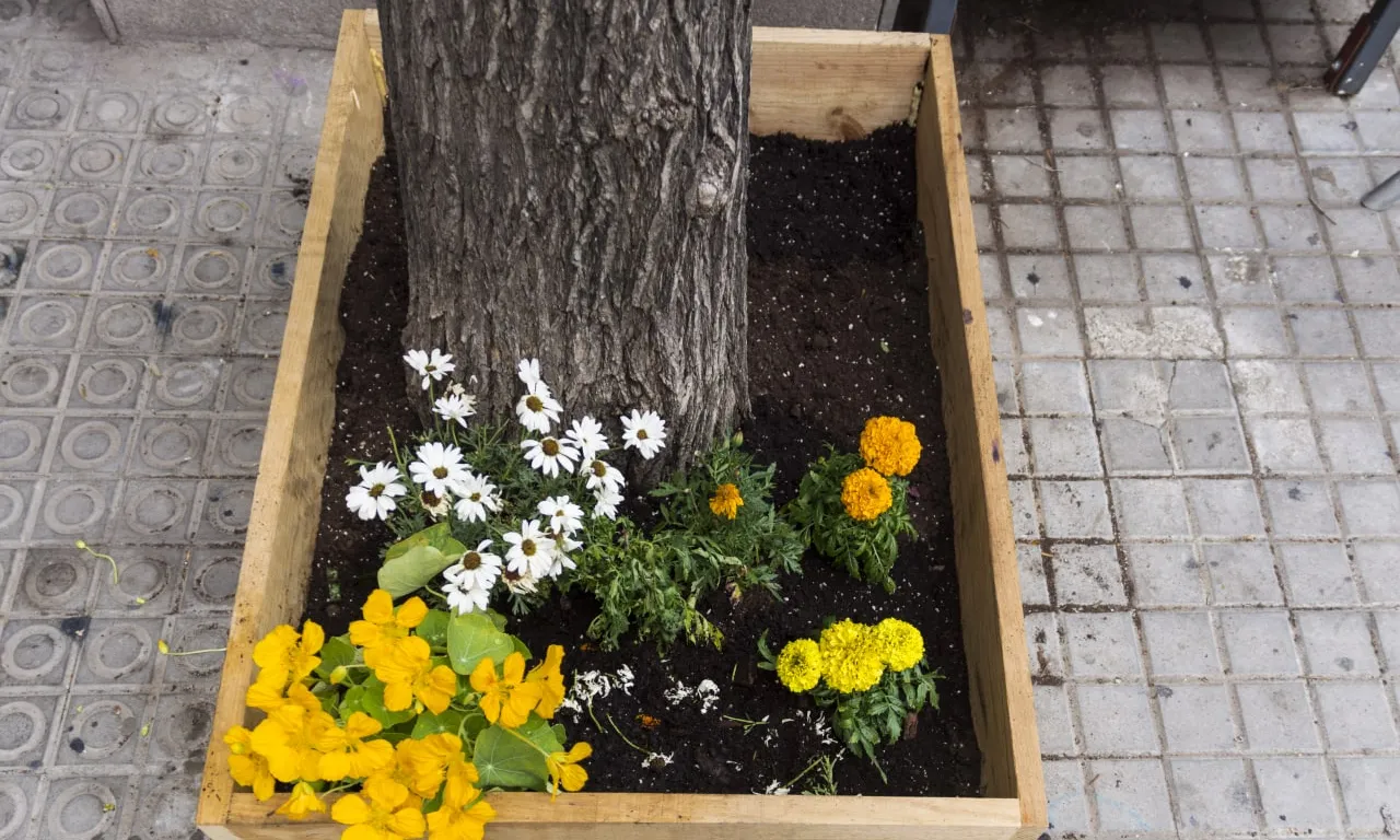 Un dels horts urbans creat per Eskocells.