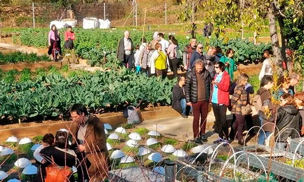 Els debats de l’edició actual s’han centrat en les tècniques de cultiu i la cura del sòl, i s’han presentat diverses propostes d’hort urbà. 