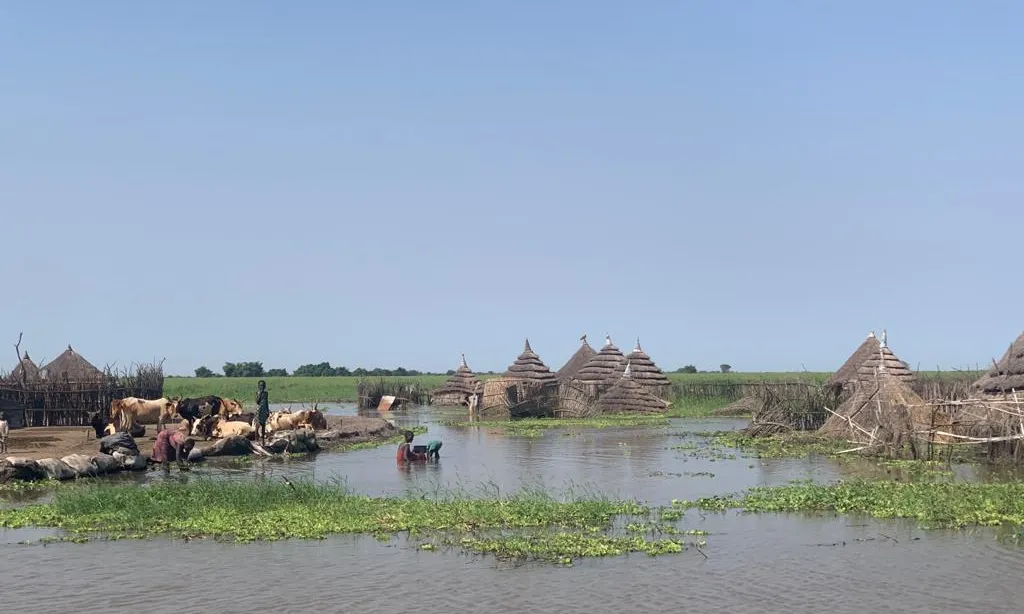 Les crescudes del riu al Sudan del Sud obliguen a les poblacions a desplaçar-se.
