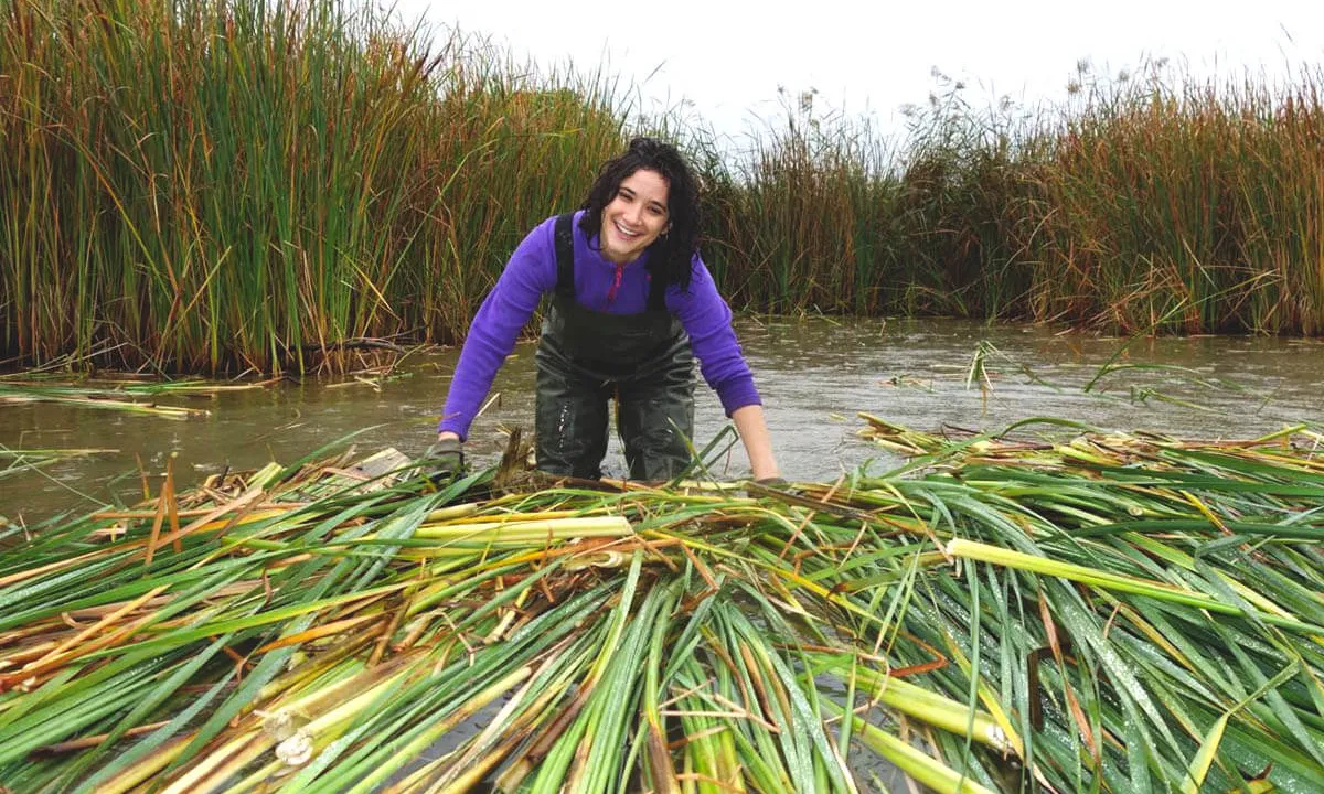 El Grup porta més de tres dècades gestionant fins a set-centes hectàrees d'espais en custòdia, a més de ser gestors de la Reserva Natural de Sebes i el Meandre de Flix.