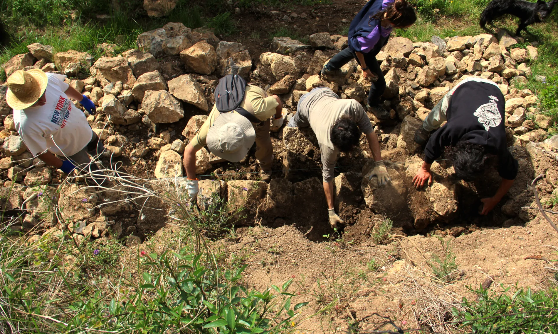 Gratitud Pallars ofereix projectes de restauració dels murs i empedrats d’antics camins utilitzant la tècnica de la pedra seca.