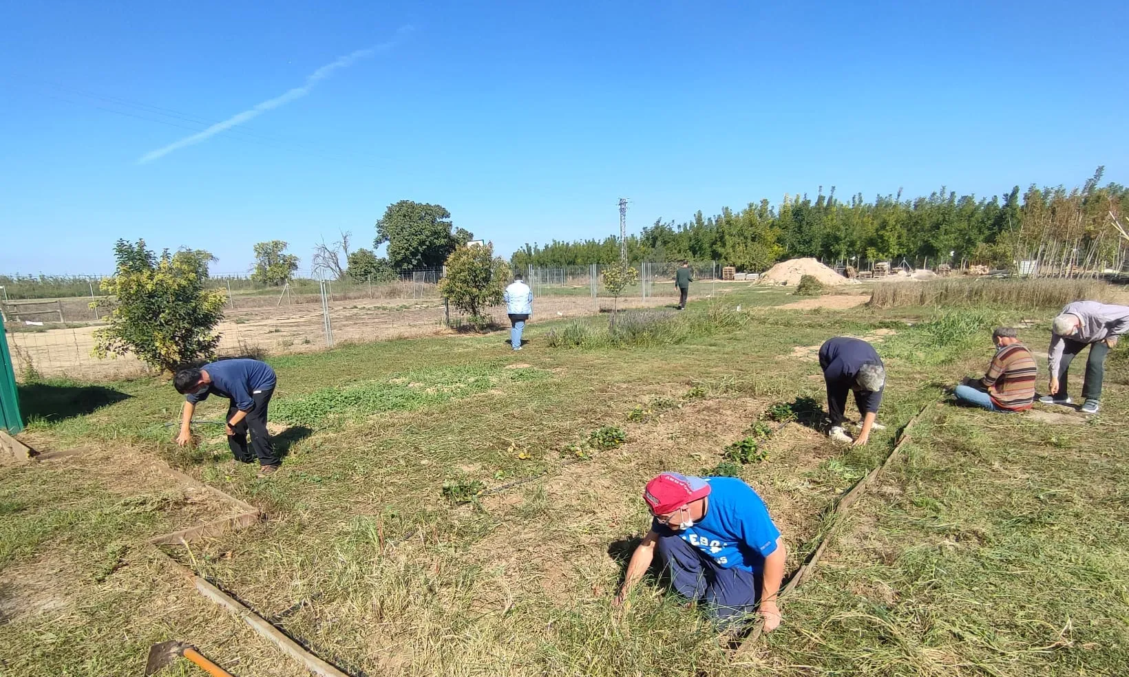 Grup de persones usuàries de l'Espai Oh! Verd realitzant una activitat de plantació