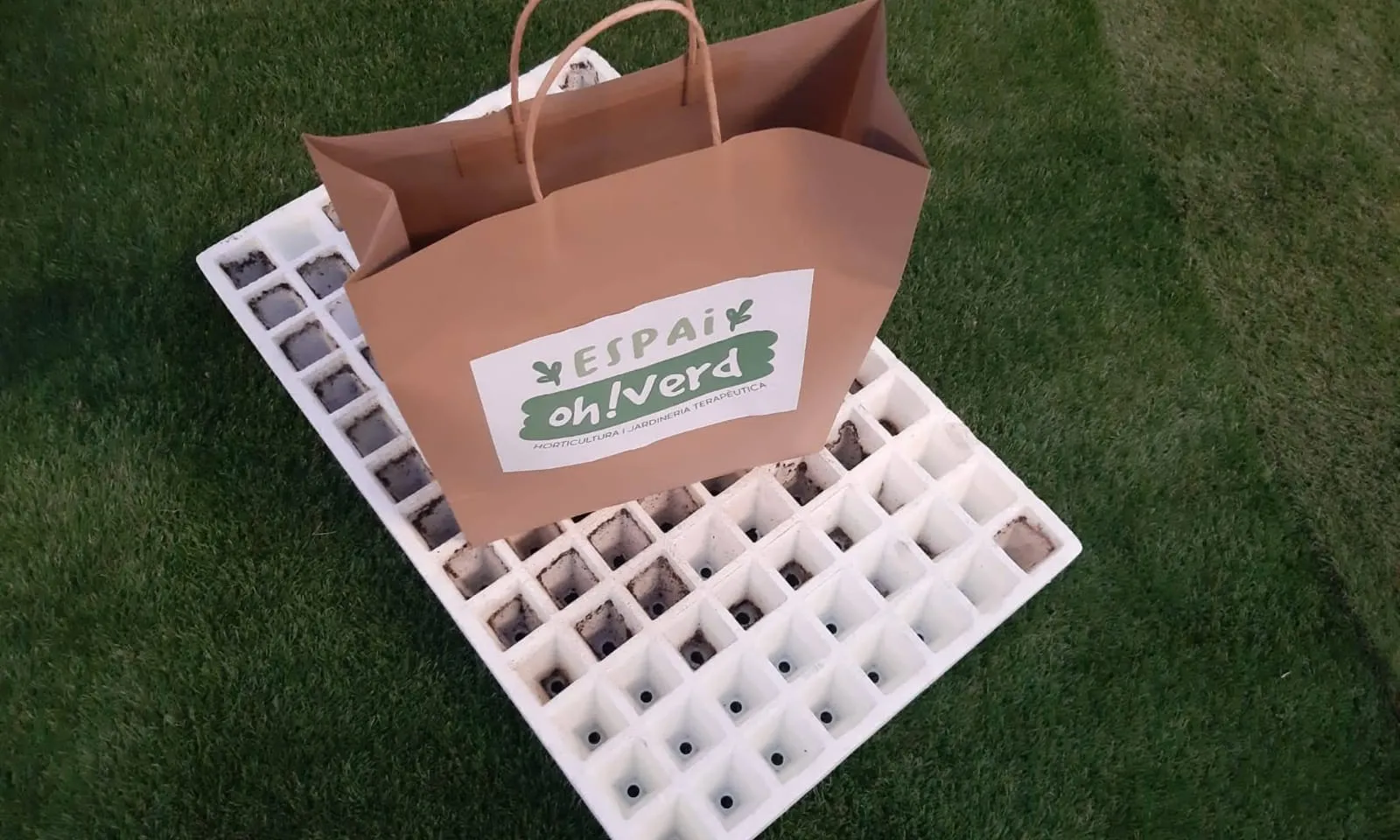 Exemple de 'kit', que s'entrega a alumnes d'escoles i instituts i a persones voluntàries, amb caselles i terra per a plantar les llavors.