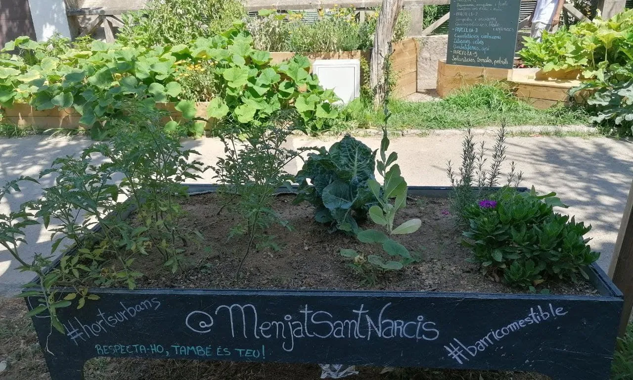 Hort urbà del projecte 'Menja't Sant Narcís' de Girona, una iniciativa verda dels veïns i veïnes del barri.