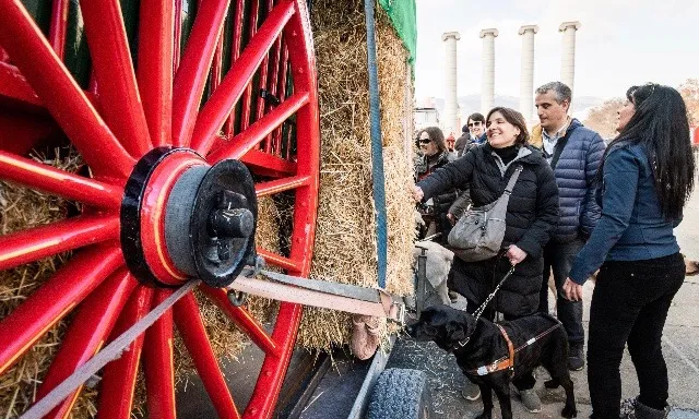 A partir del 15 de gener, comencen els primers Tres Tombs de l'any a diversos municipis de Catalunya.