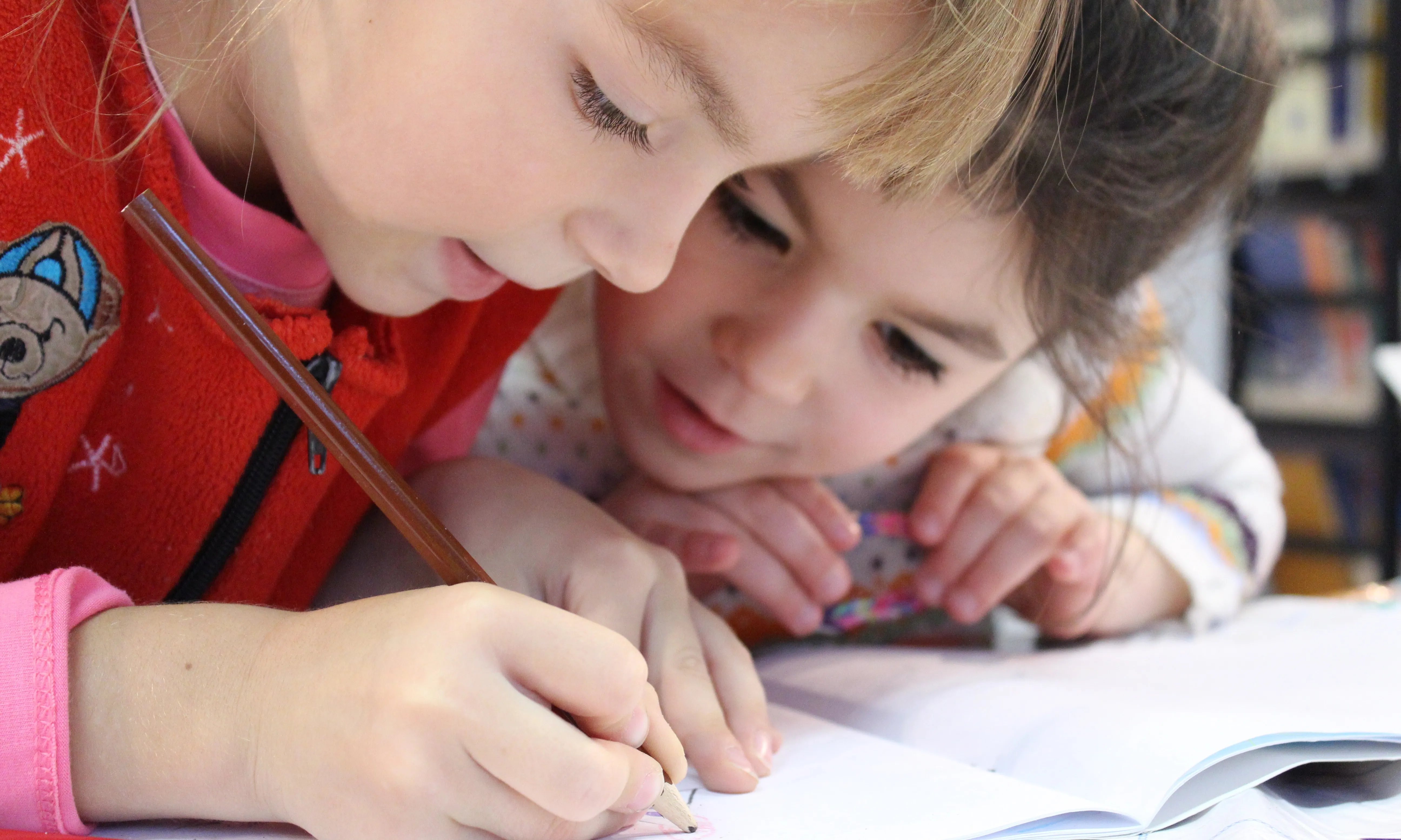 Fil a l'agulla ofereix serveis de resolució de conflictes als centres educatius