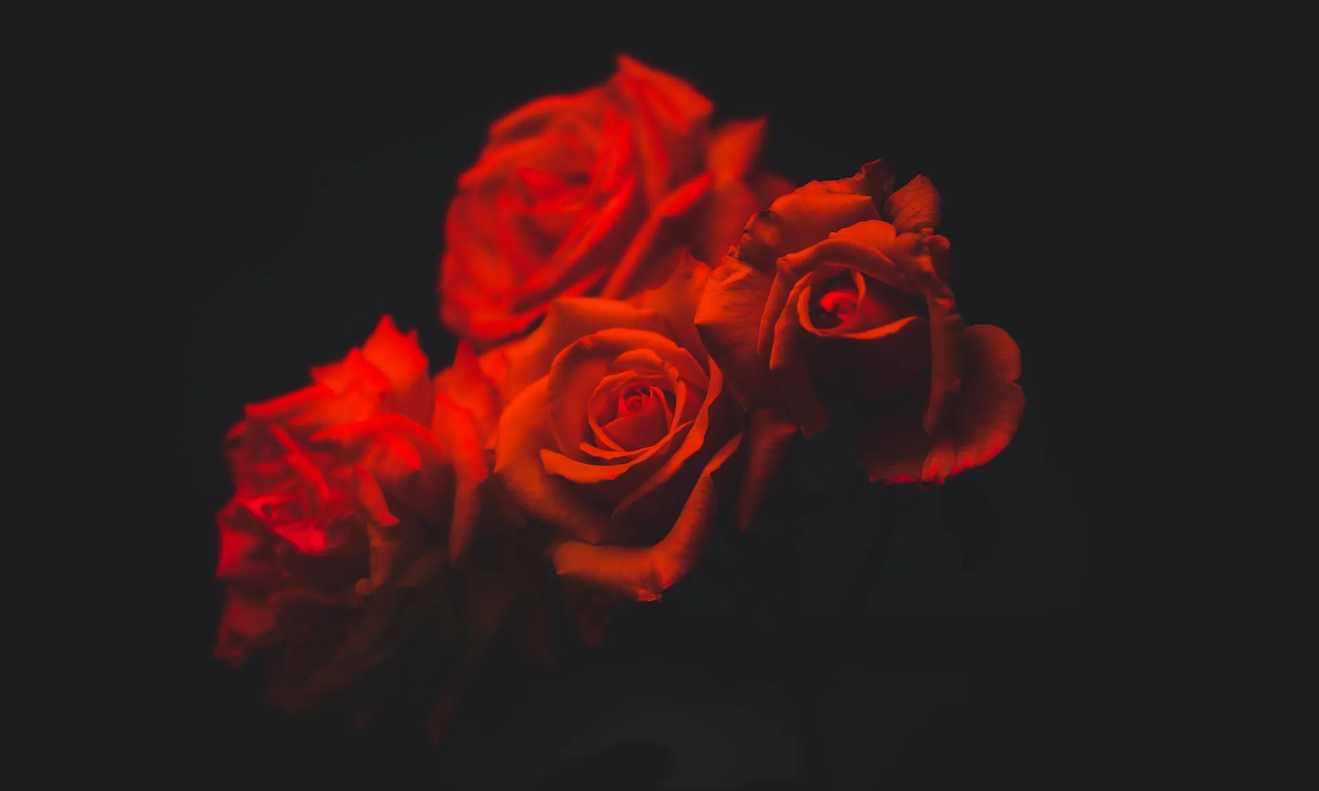 Foto de Gian D. a Unsplash Foto de Gian D. a Unsplash