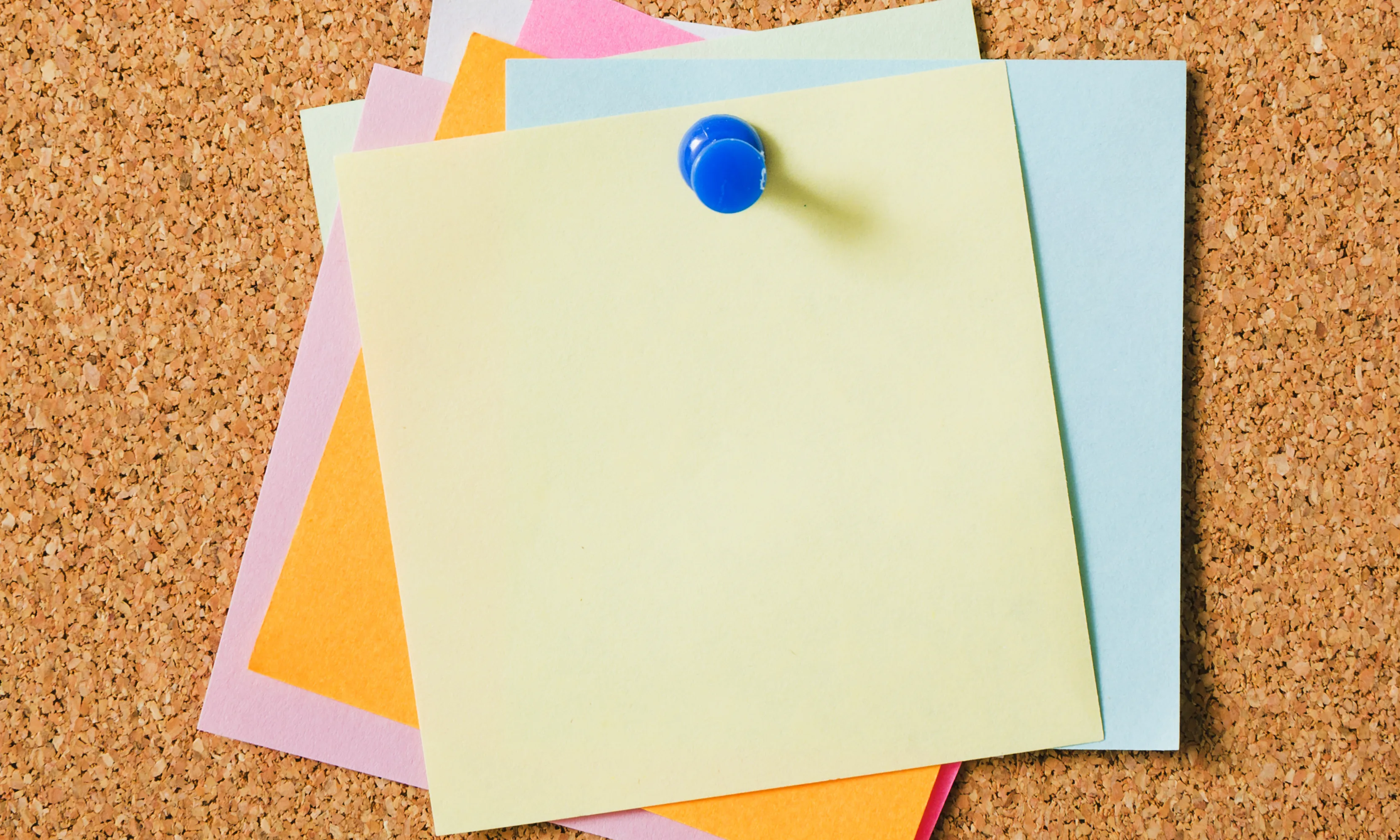 La periodicitat per presentar la documentació varia segons el model.