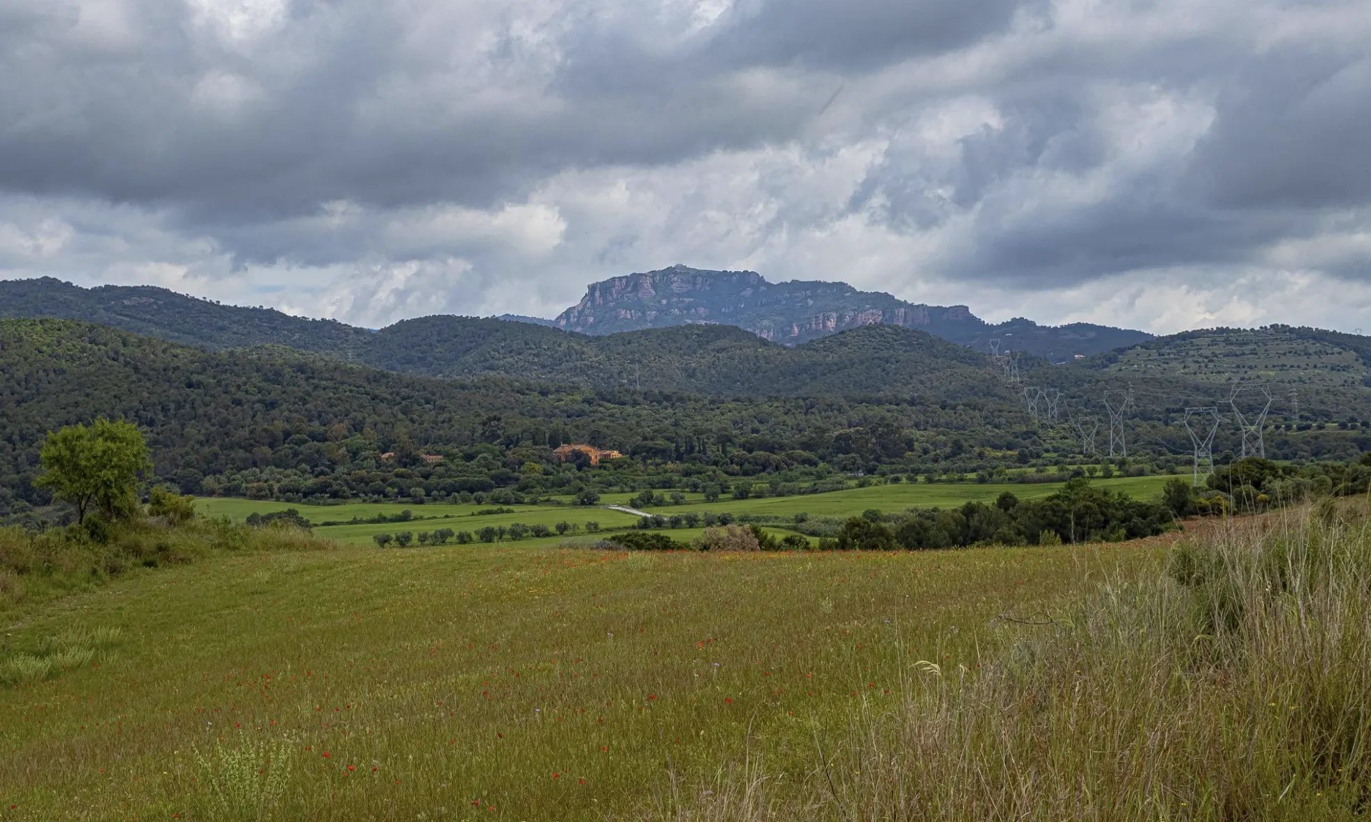 L'entorn natural Els Bellots acull un 13% dels conreus de secà de Terrassa i una gran biodiversitat, amb àrees clau per les aus rapinyaires del Vallès Occidental.