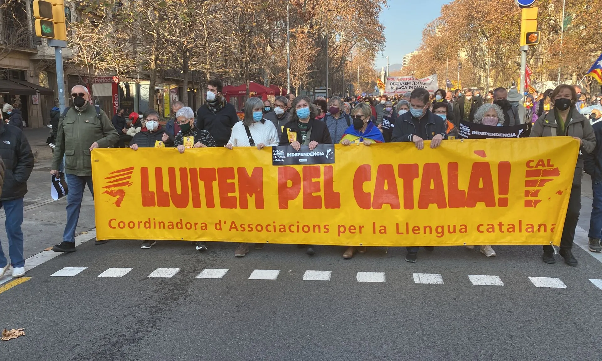 Participació de la Coordinadora d'Associacions per la Llengua catalana en una manifestació en defensa de la llengua i del model d'escola catalana.