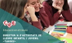 Director d'activitats de lleure infantil