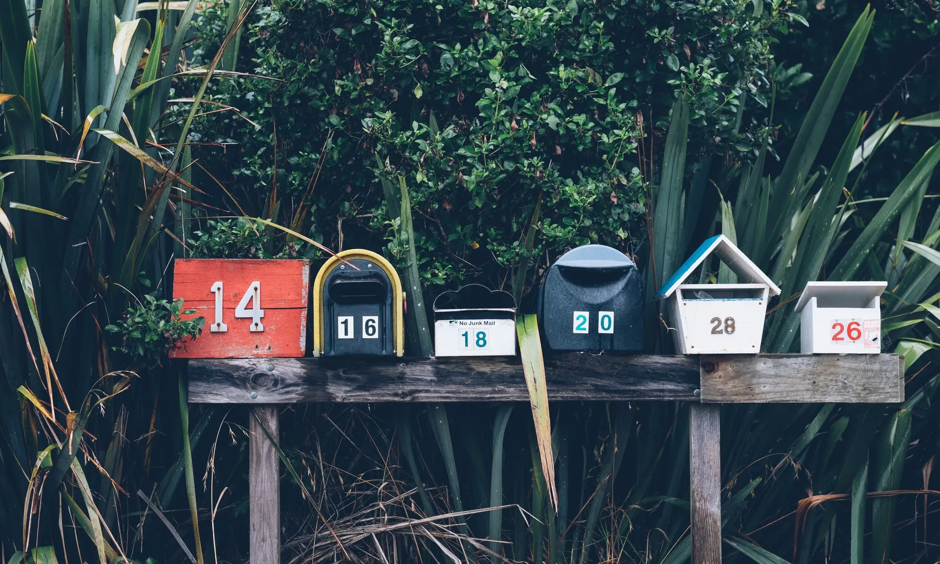 Foto de Mathyas Kurmann a Unsplash