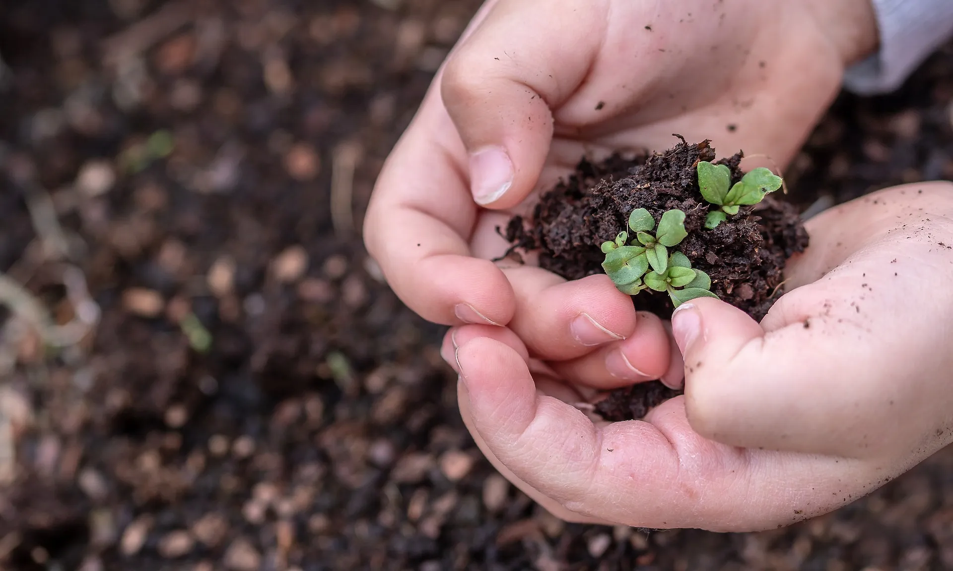 El decàleg ha estat definit i consensuat per les entitats organitzadores i participants del Congrés Socioambiental de Catalunya.