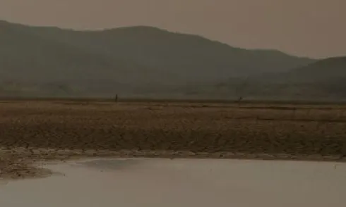 IV edició del Premi Biophilia de comunicació mediambiental
