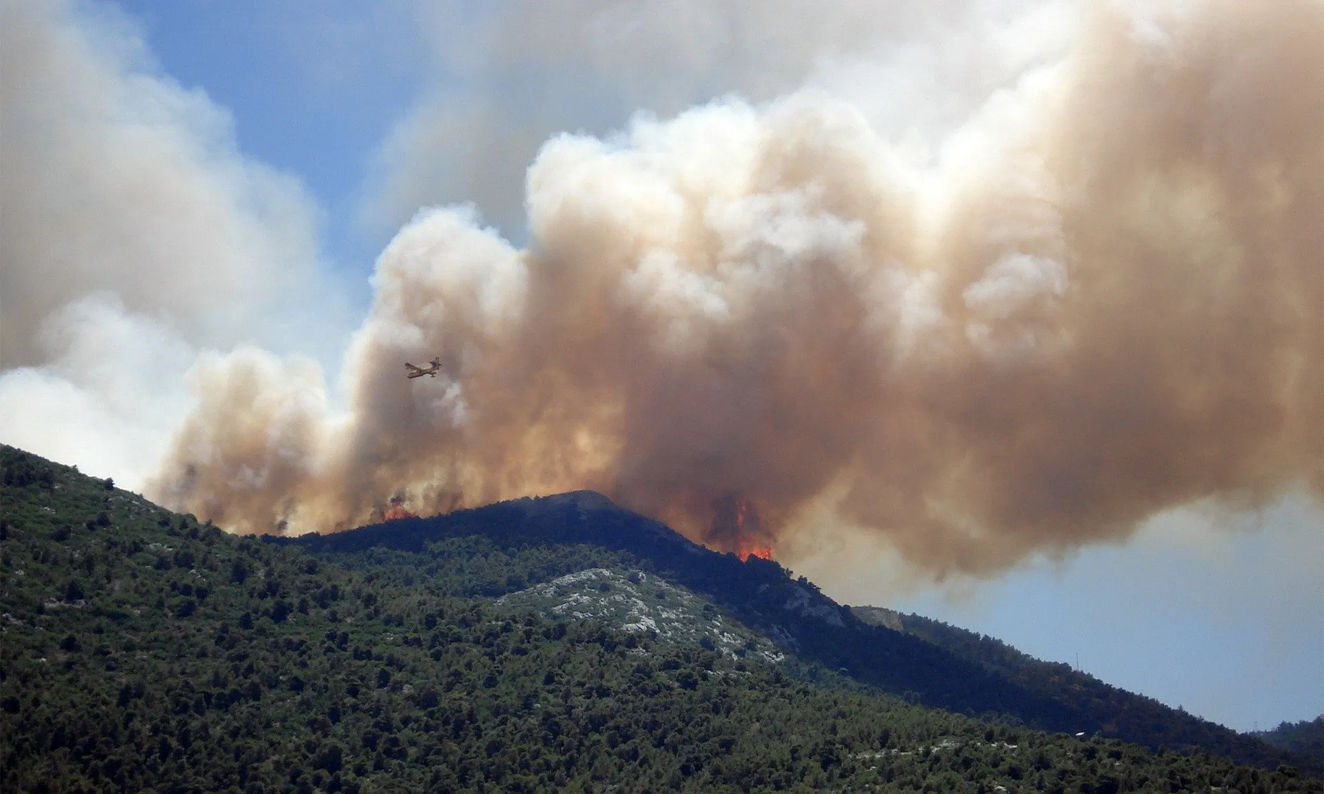 Mantenir un territori foral viu ajuda a rebaixar la intensitat del foc.